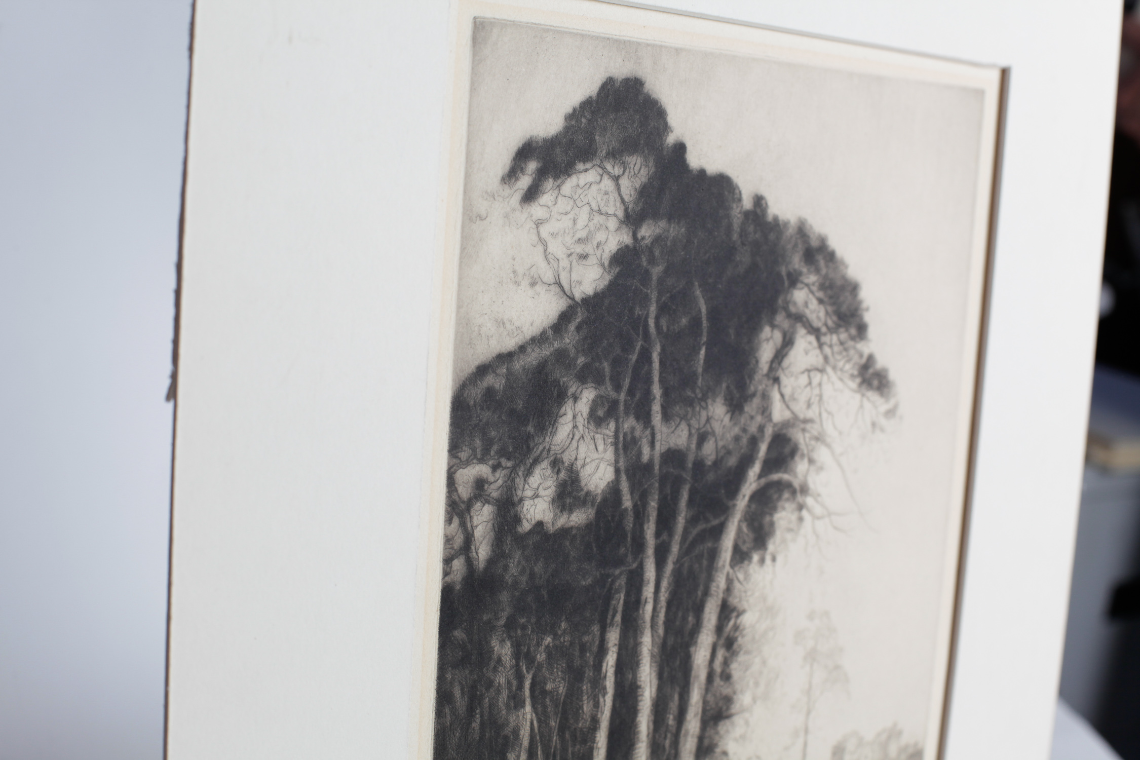 John George Mathieson Drypoint Etching "Trees"