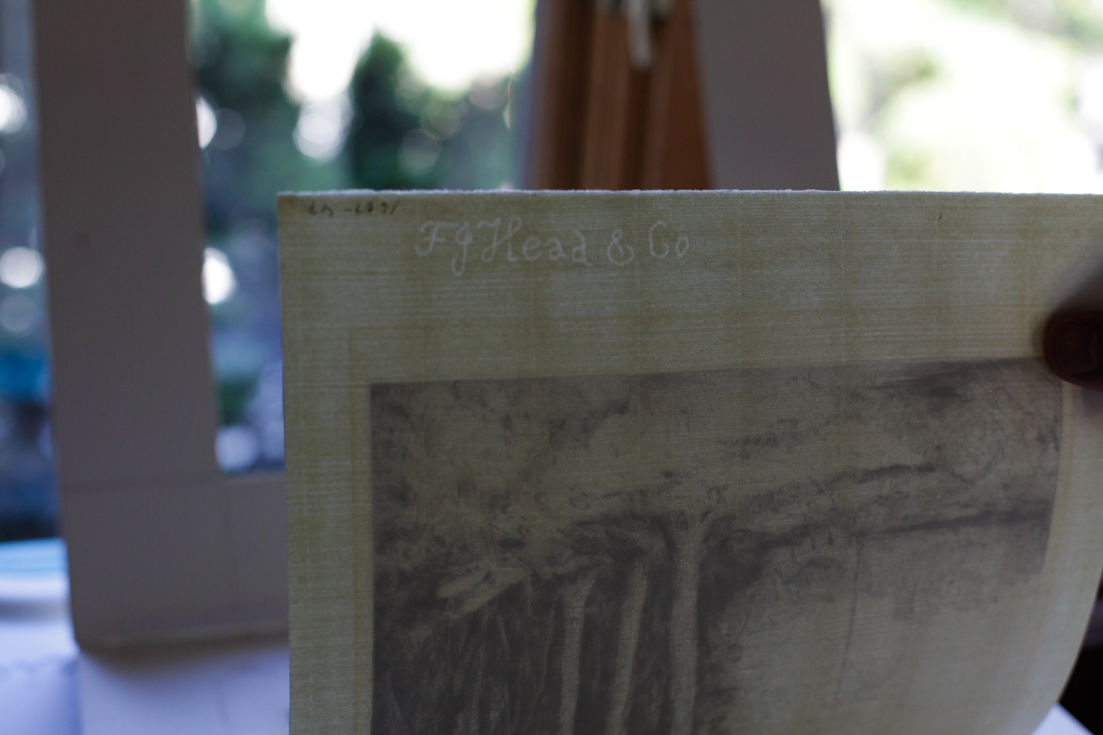 John George Mathieson Drypoint Etching "Trees"