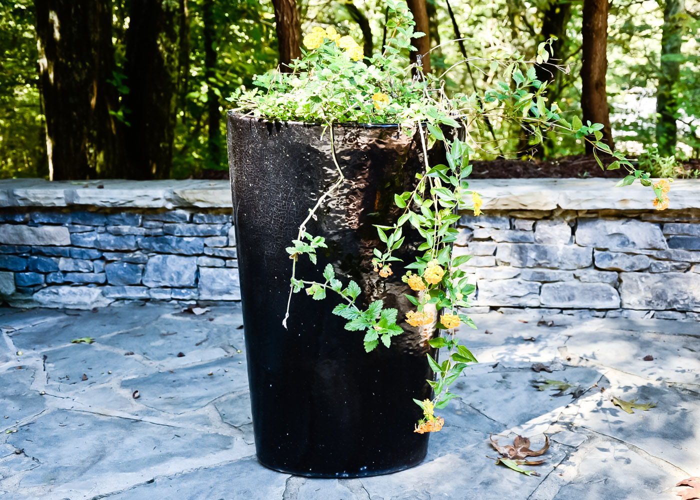 Tall Black Ceramic Planter