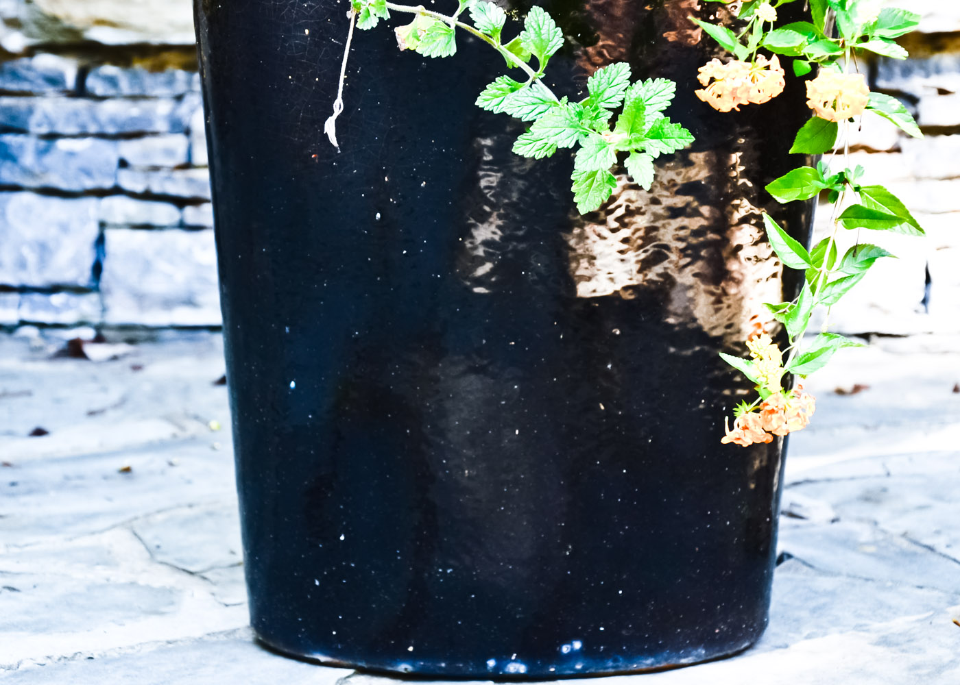 Tall Black Ceramic Planter