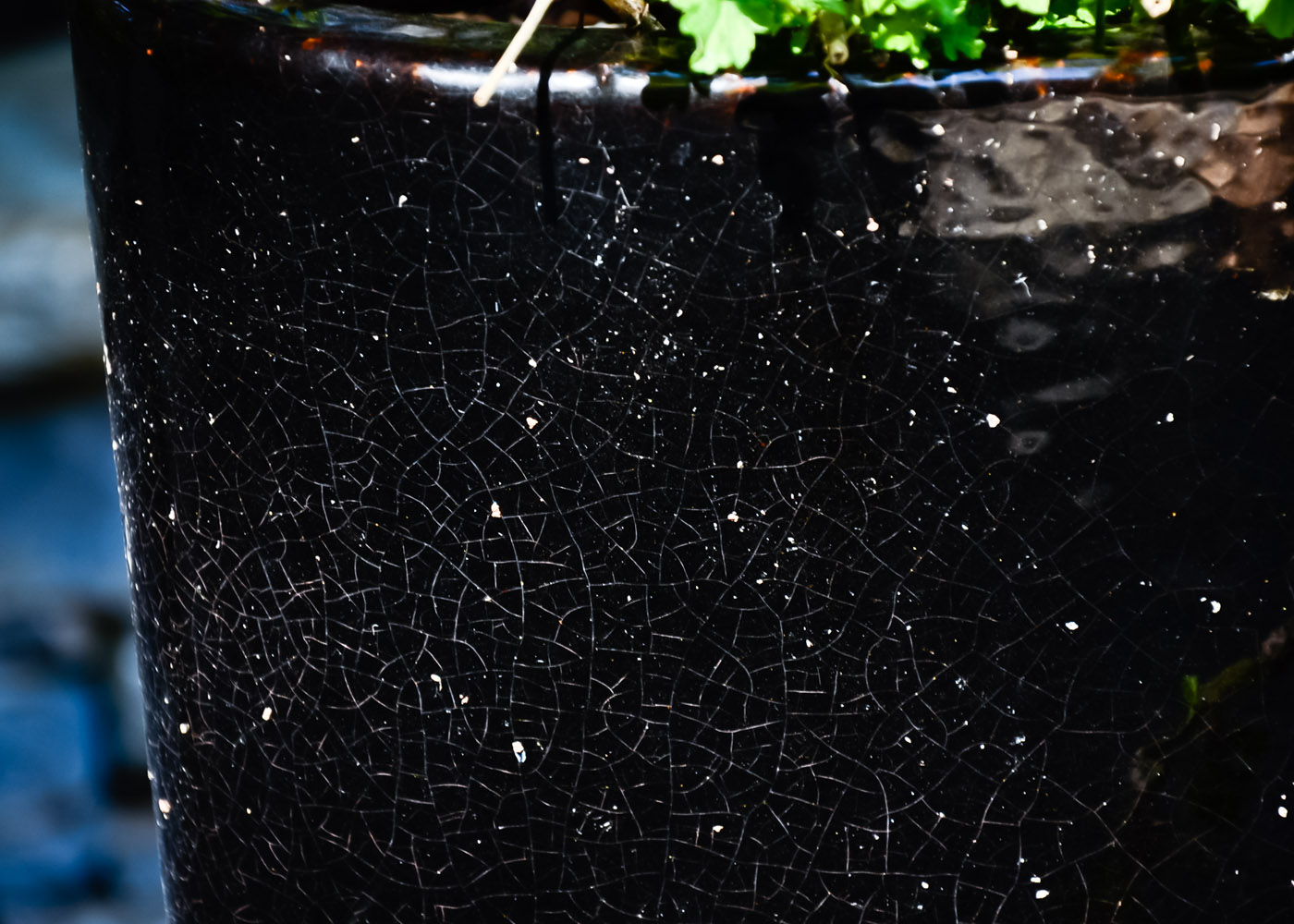 Tall Black Ceramic Planter