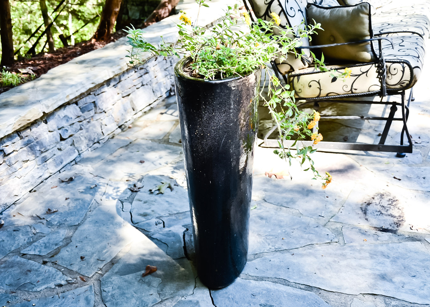 Tall Black Ceramic Planter