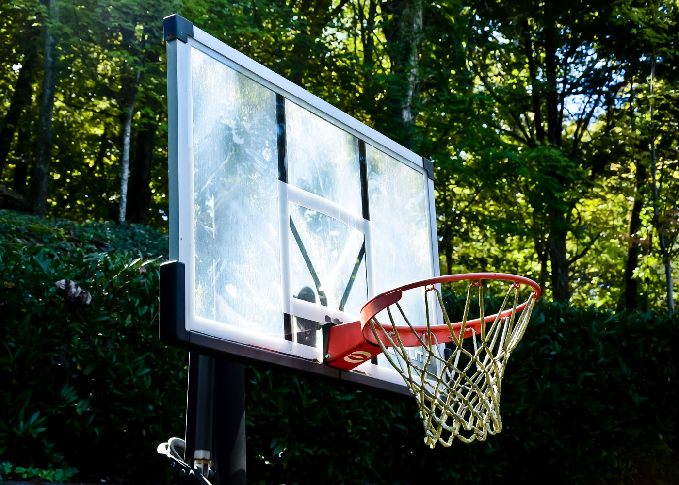 Lifetime Elite Basketball Hoop
