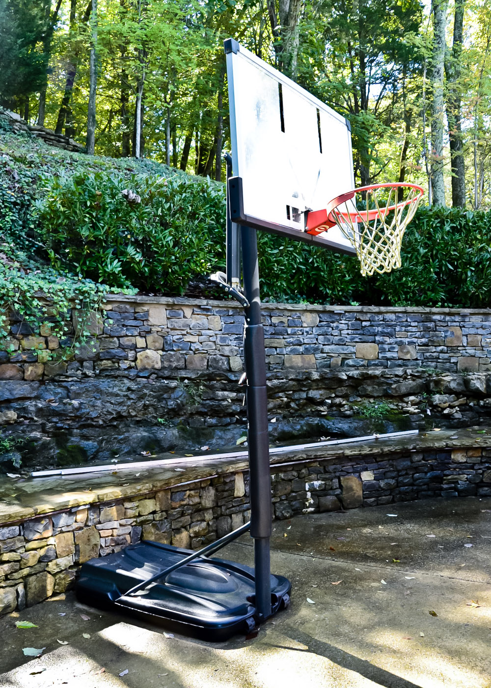 Lifetime Elite Basketball Hoop