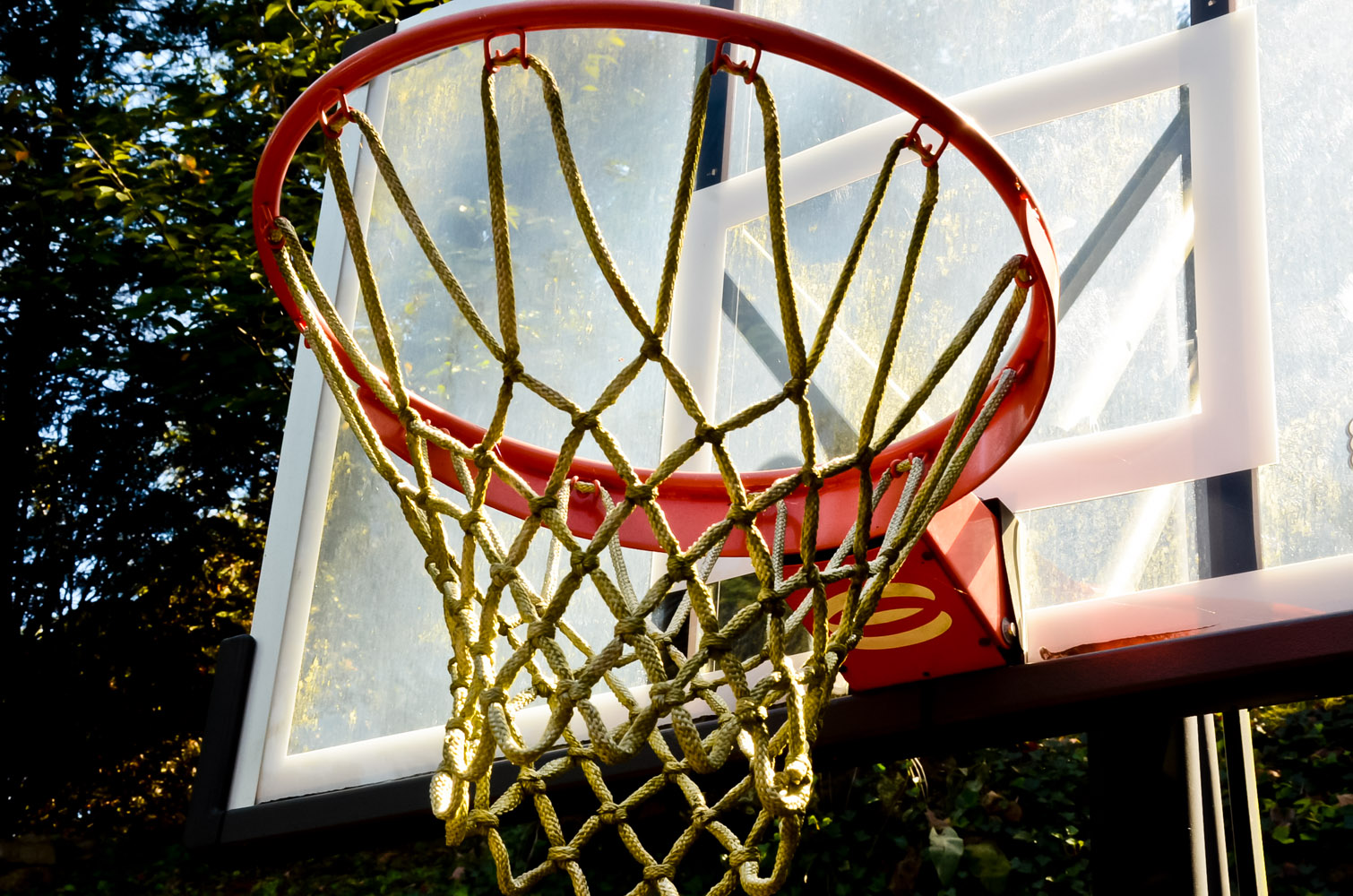 Lifetime Elite Basketball Hoop