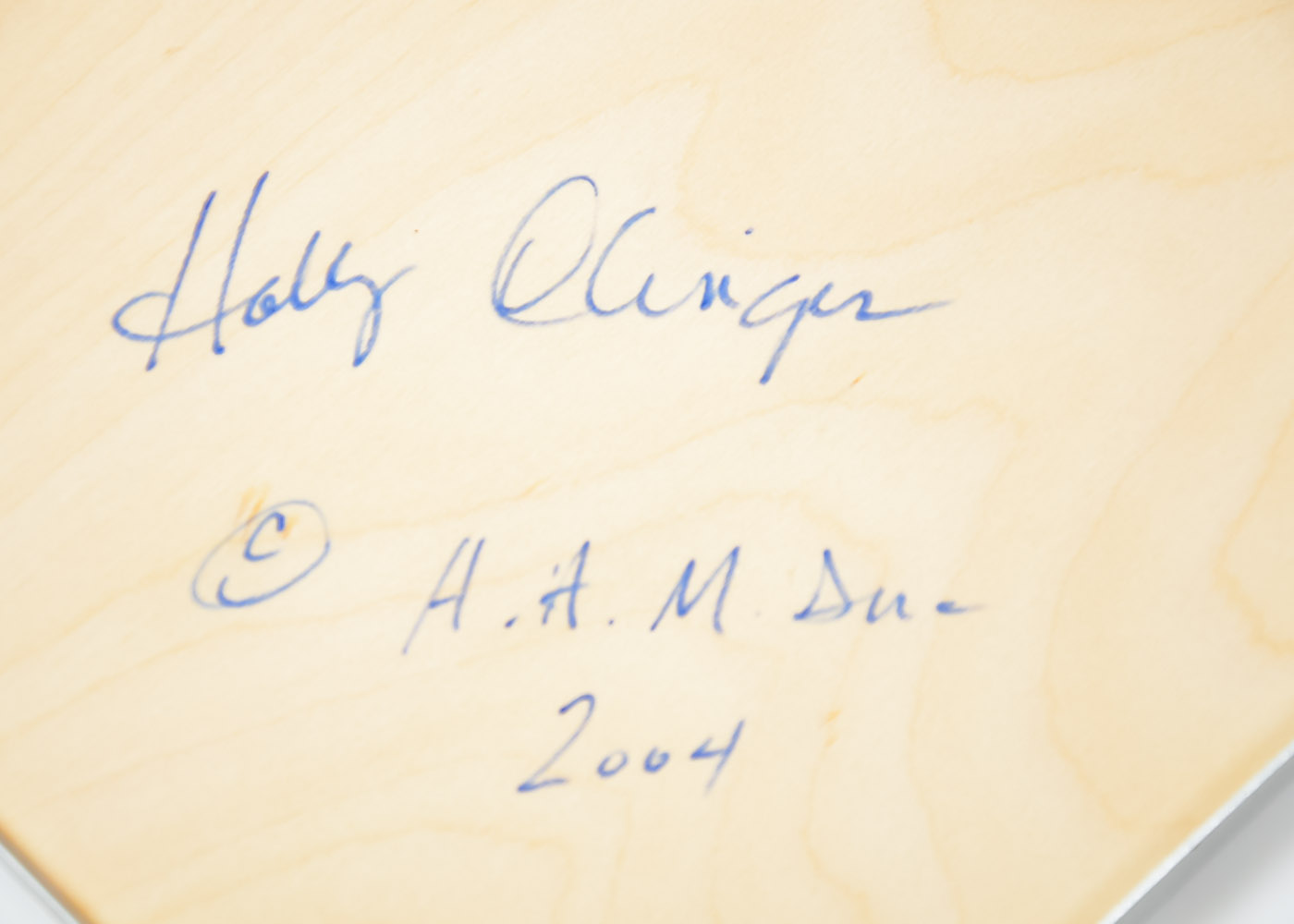 Pair of Brushed Aluminium and Glass Mirrors by Holly Olinger