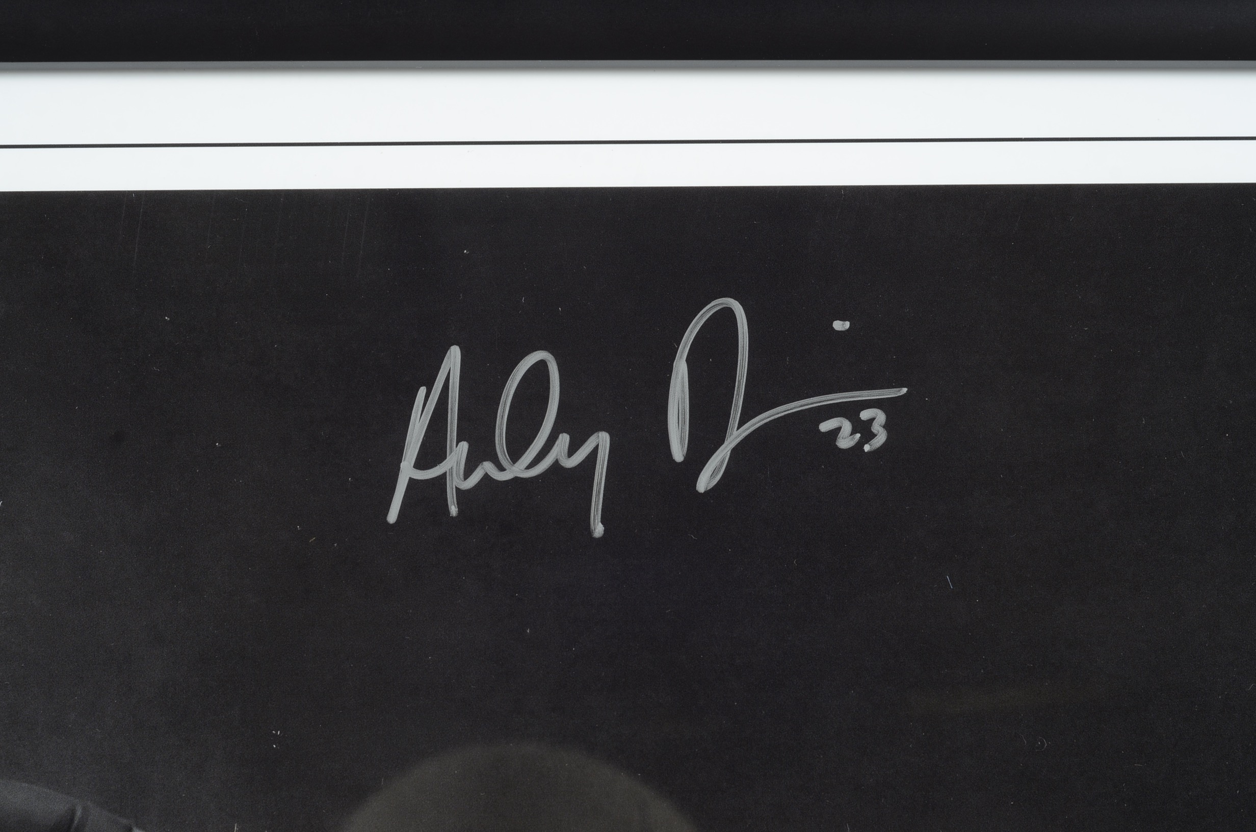 Anthony Davis Autographed "Wingspan" Poster