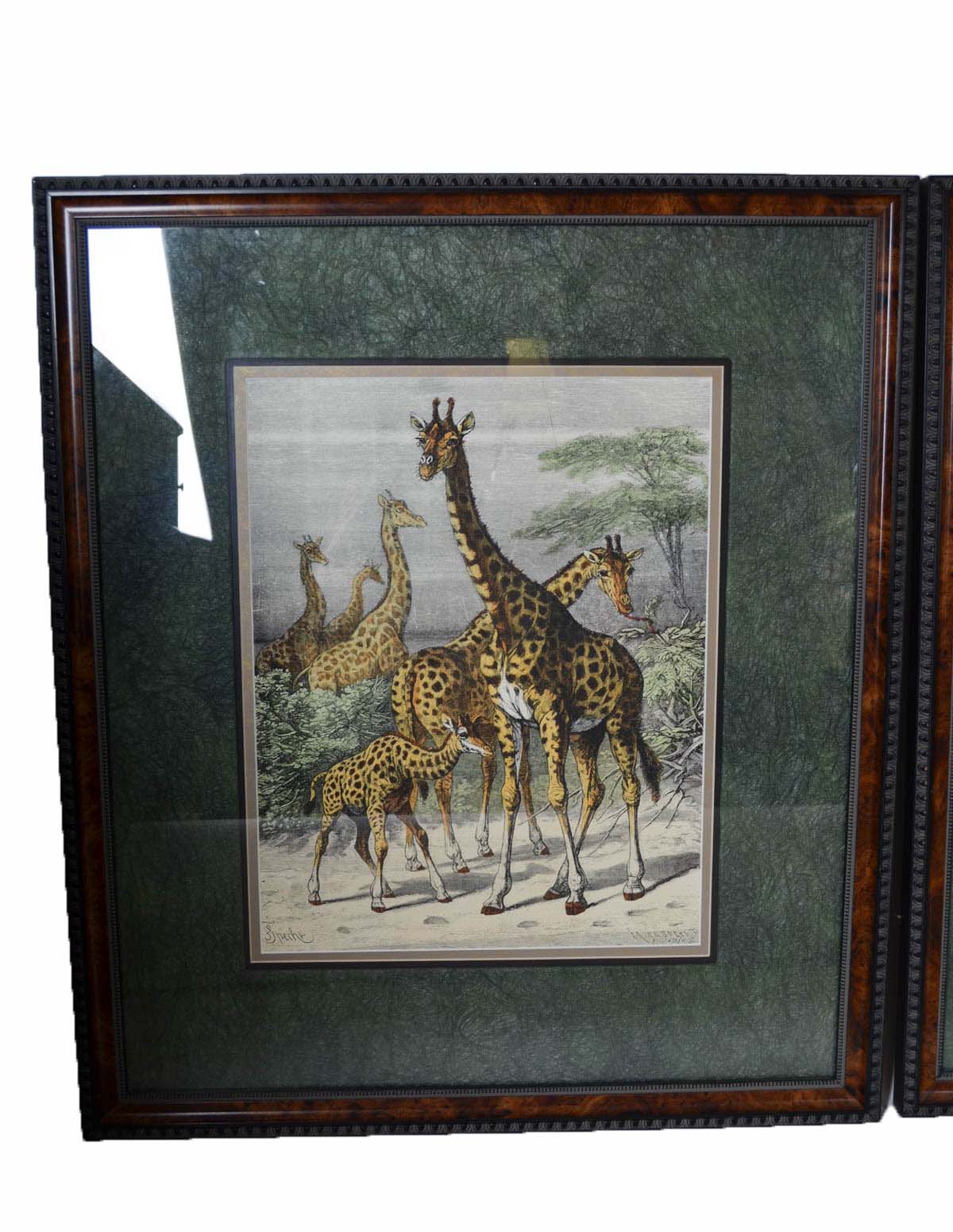 Pair of Antique Frederich Specht Engravings