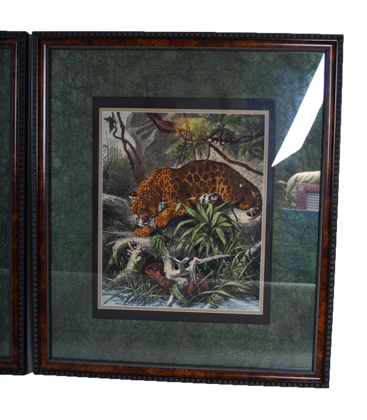 Pair of Antique Frederich Specht Engravings