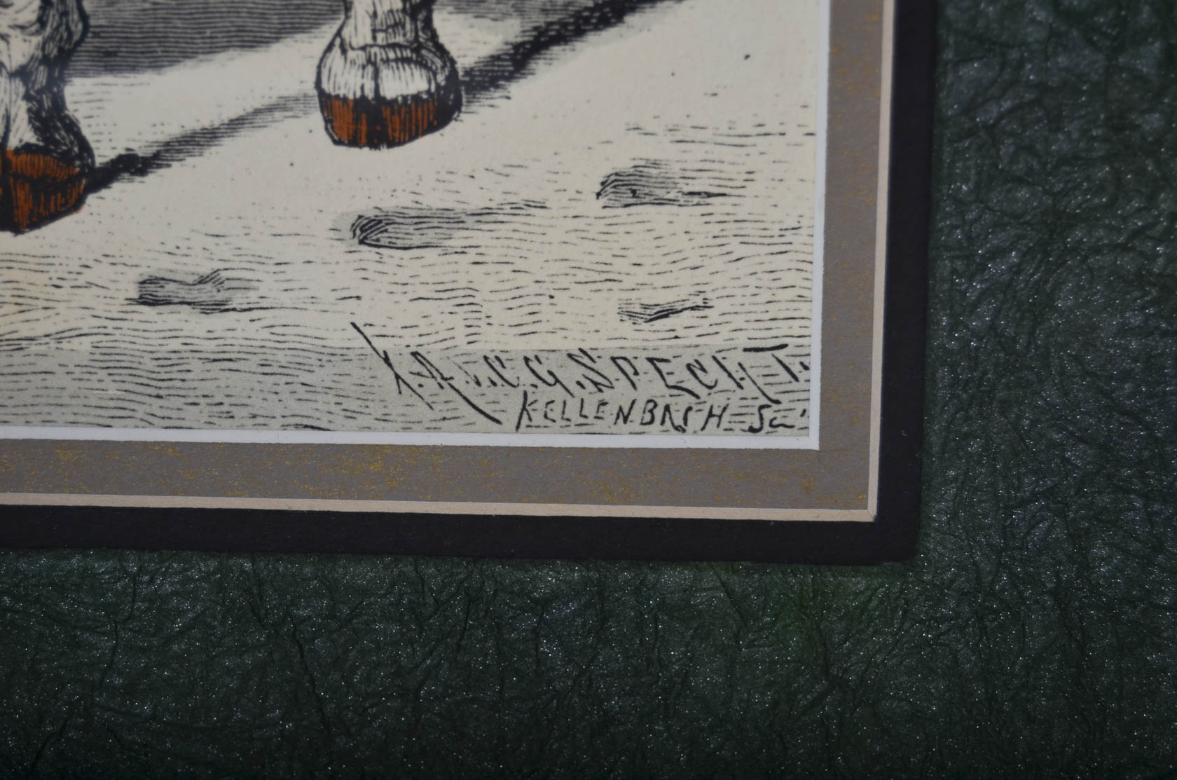 Pair of Antique Frederich Specht Engravings