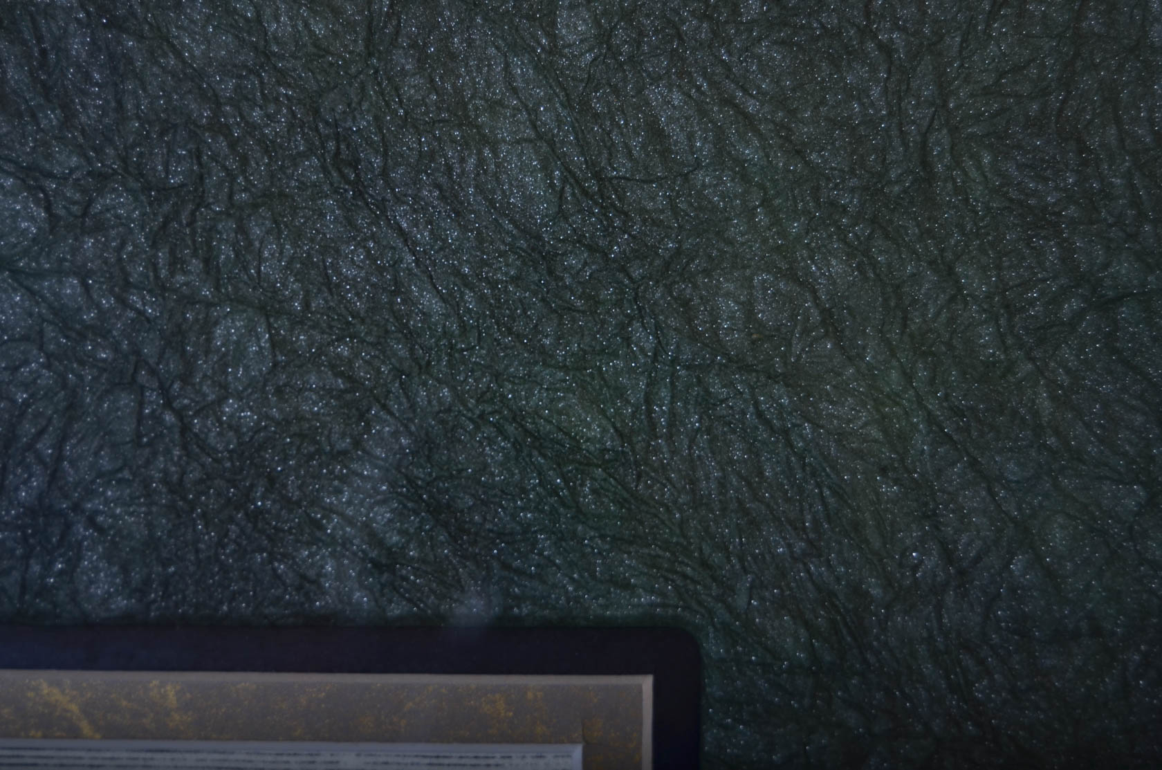 Pair of Antique Frederich Specht Engravings