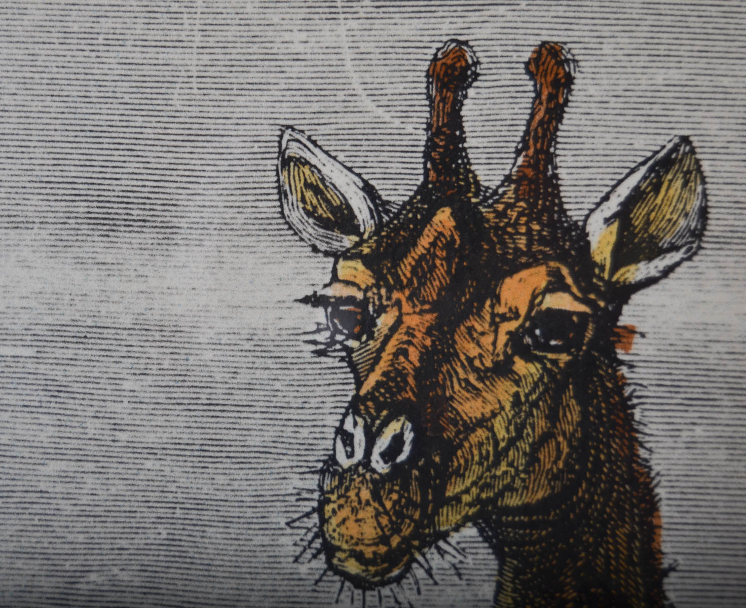 Pair of Antique Frederich Specht Engravings