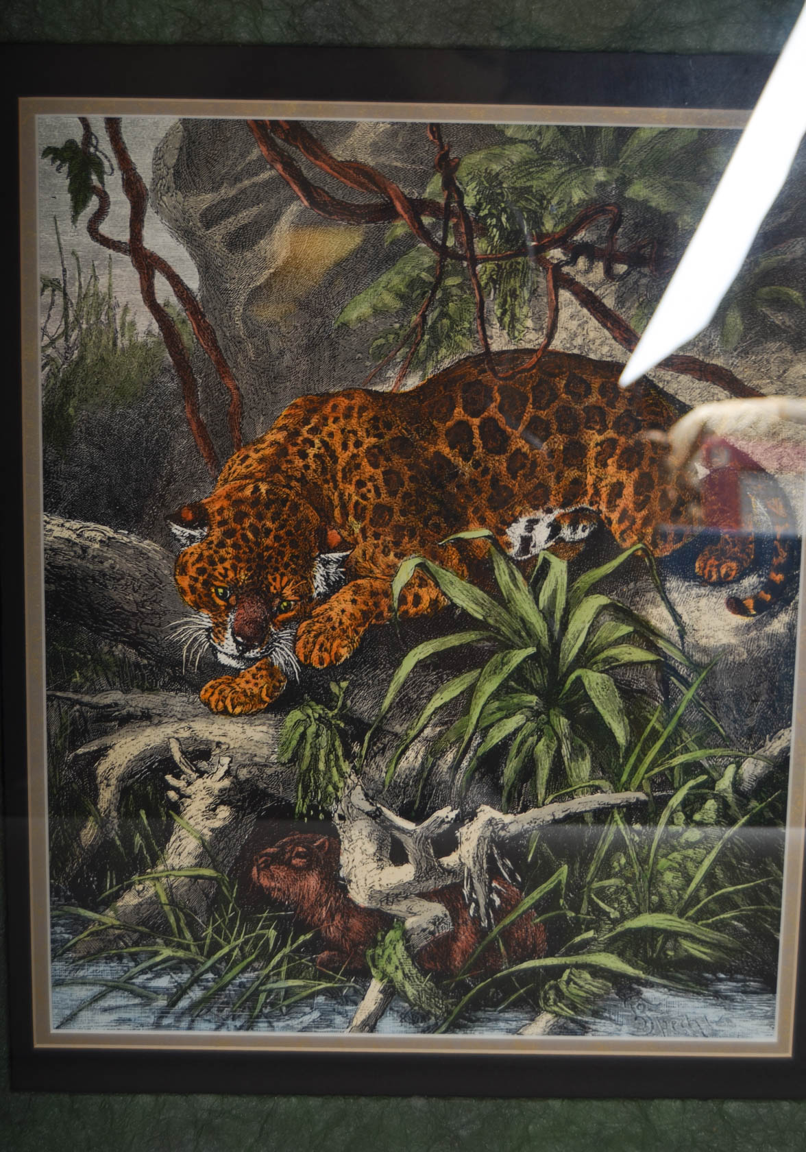 Pair of Antique Frederich Specht Engravings