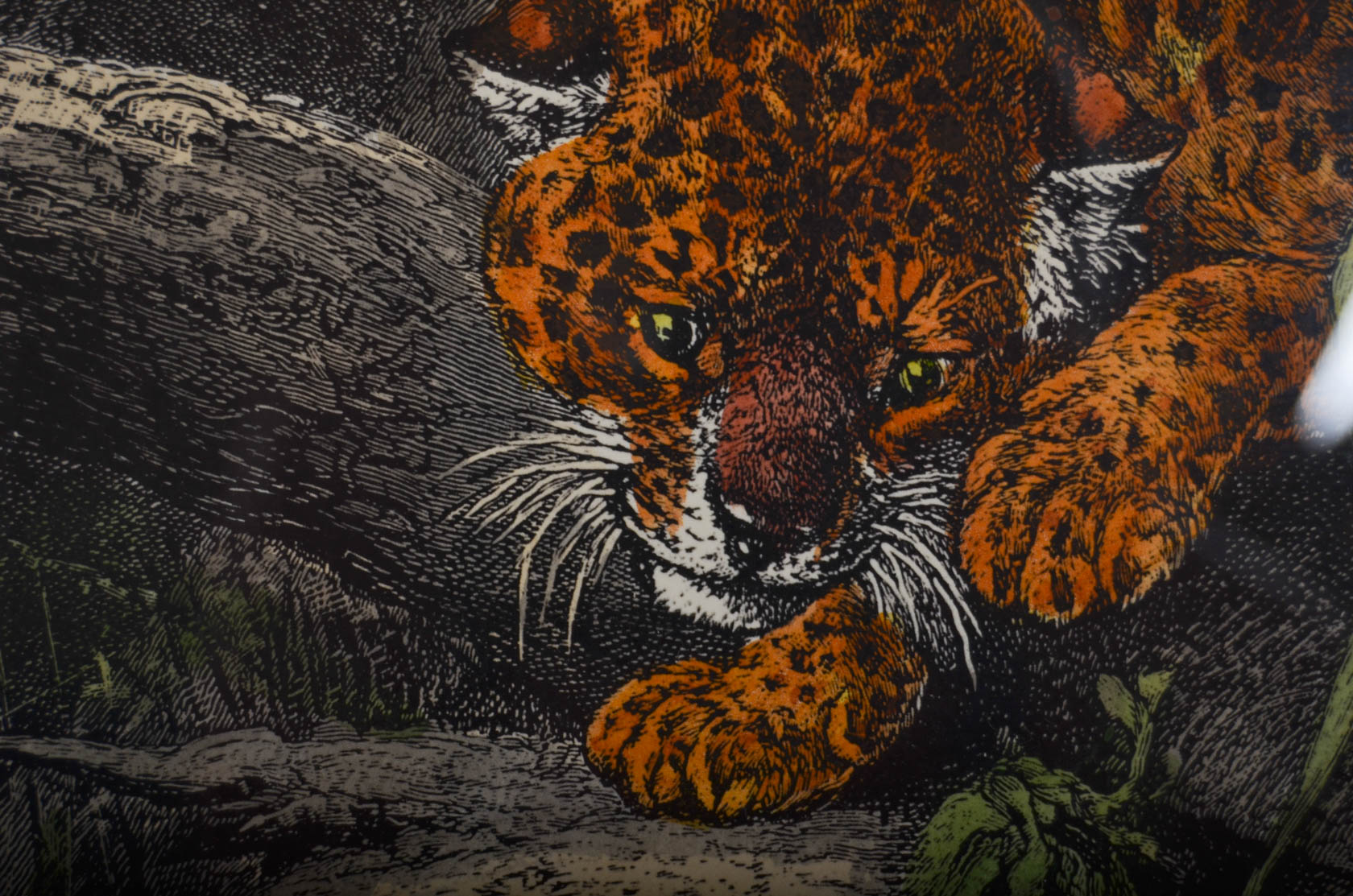 Pair of Antique Frederich Specht Engravings