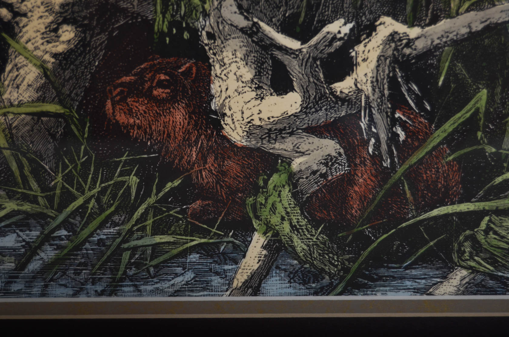 Pair of Antique Frederich Specht Engravings