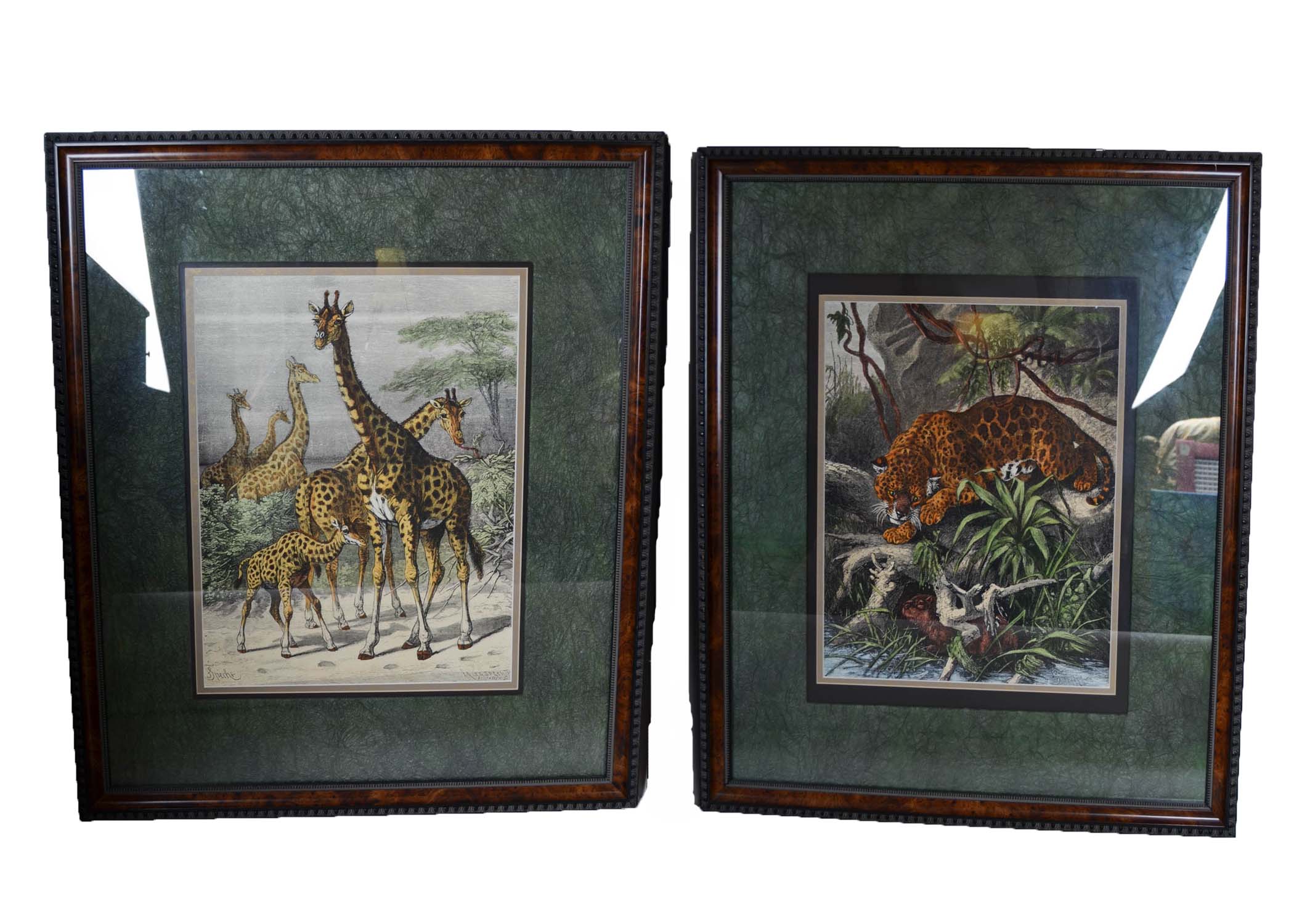 Pair of Antique Frederich Specht Engravings