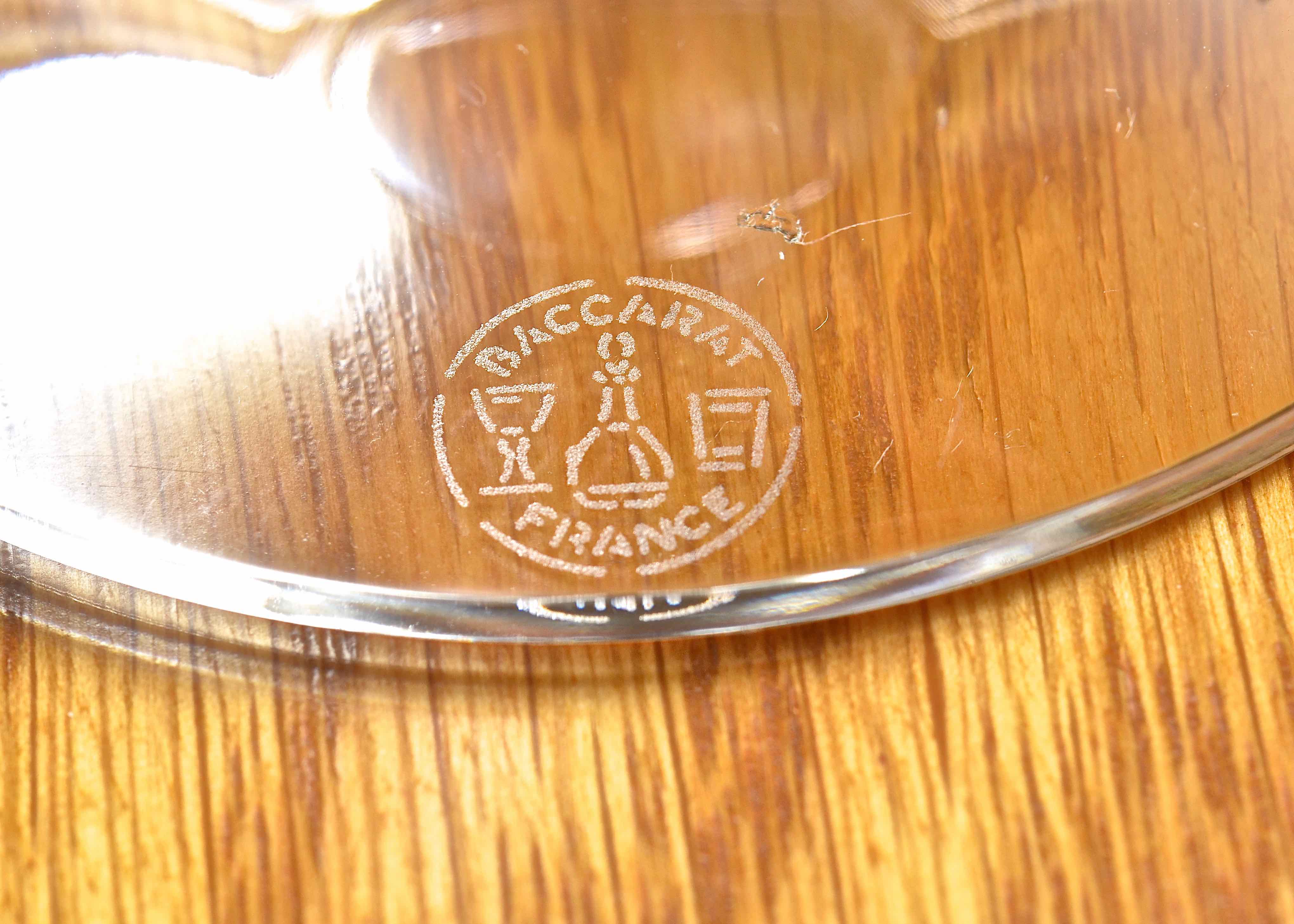 Single Baccarat VÉGA Martini Glass