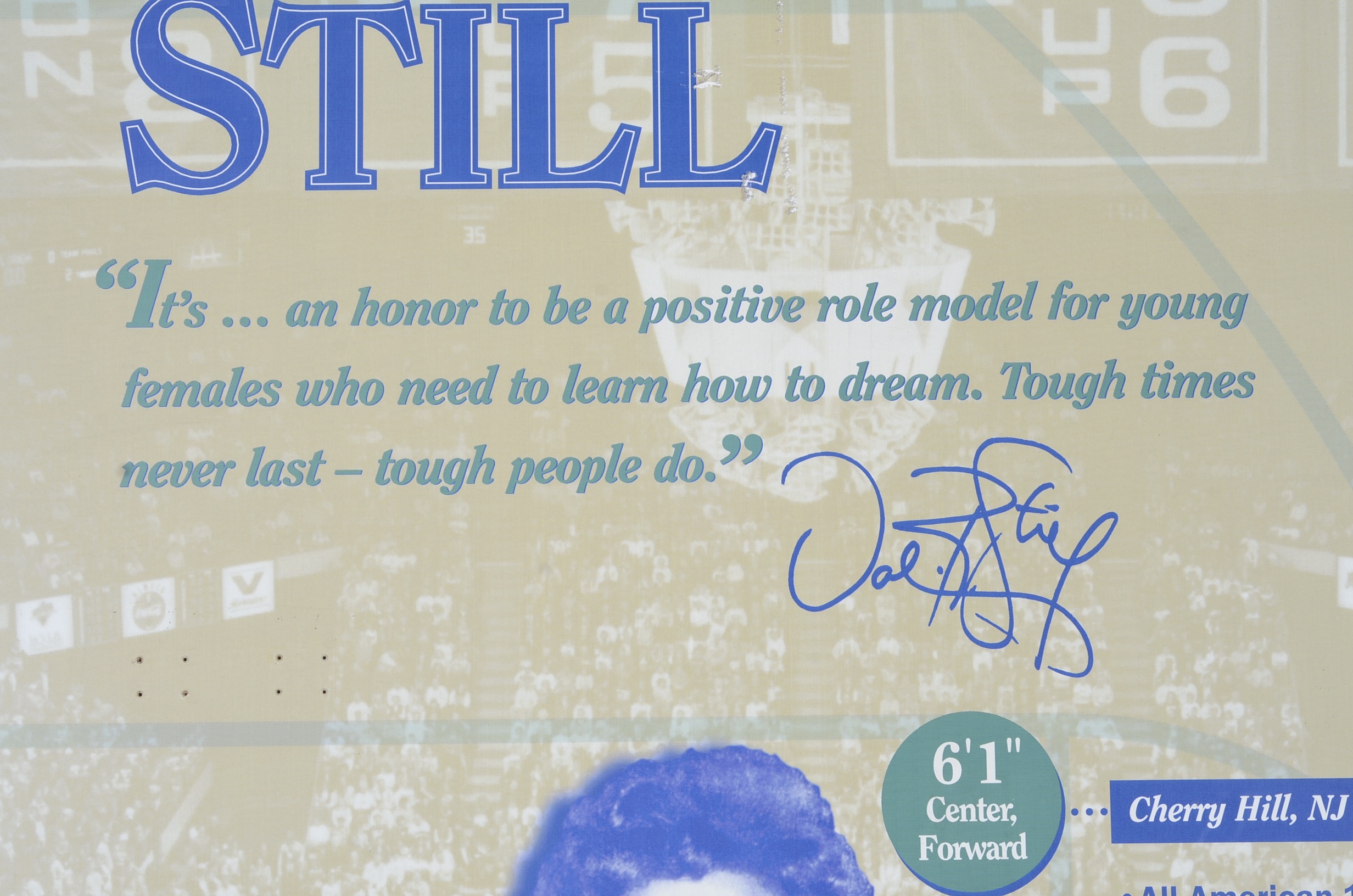 Valerie Still and Bernard Opper UK Basketball Museum Displays