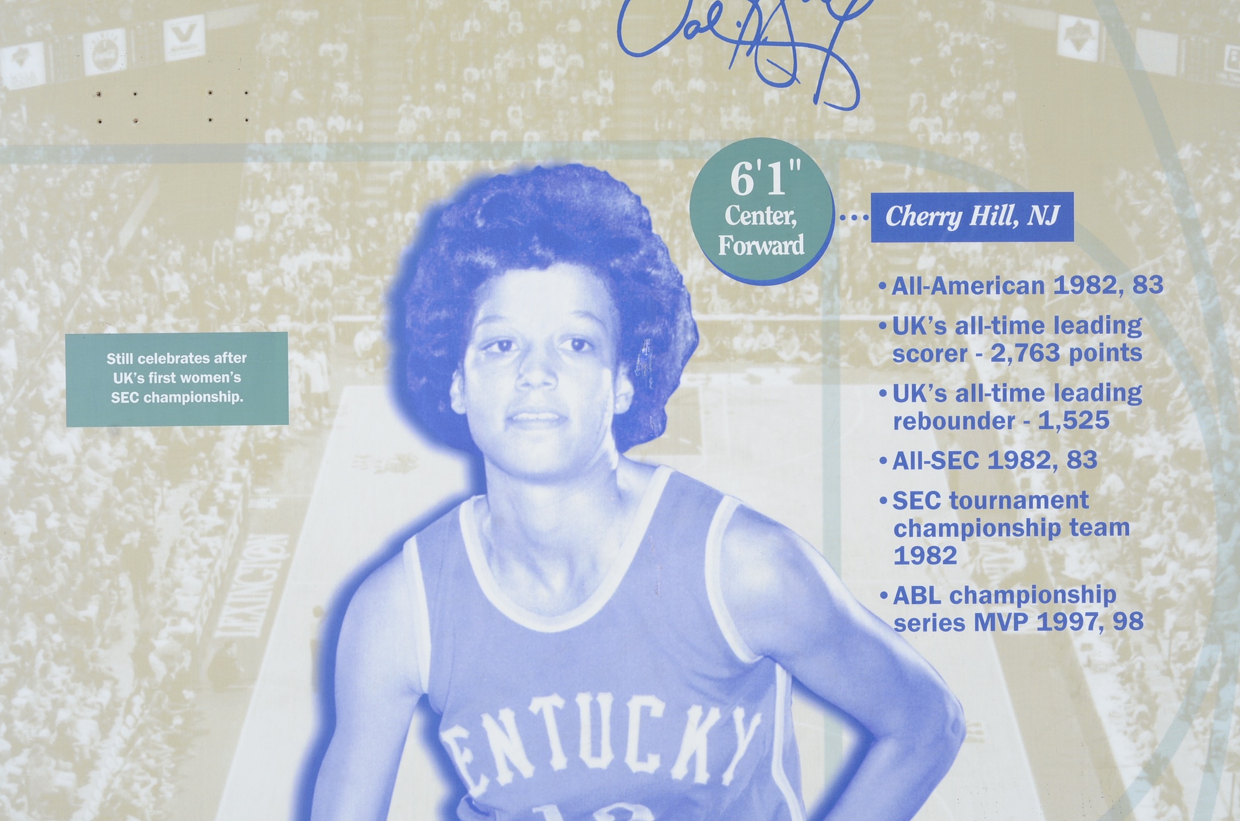 Valerie Still and Bernard Opper UK Basketball Museum Displays