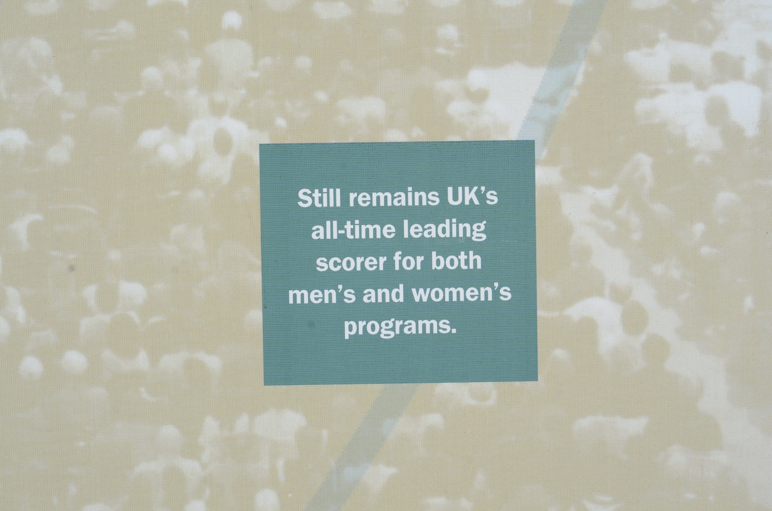 Valerie Still and Bernard Opper UK Basketball Museum Displays