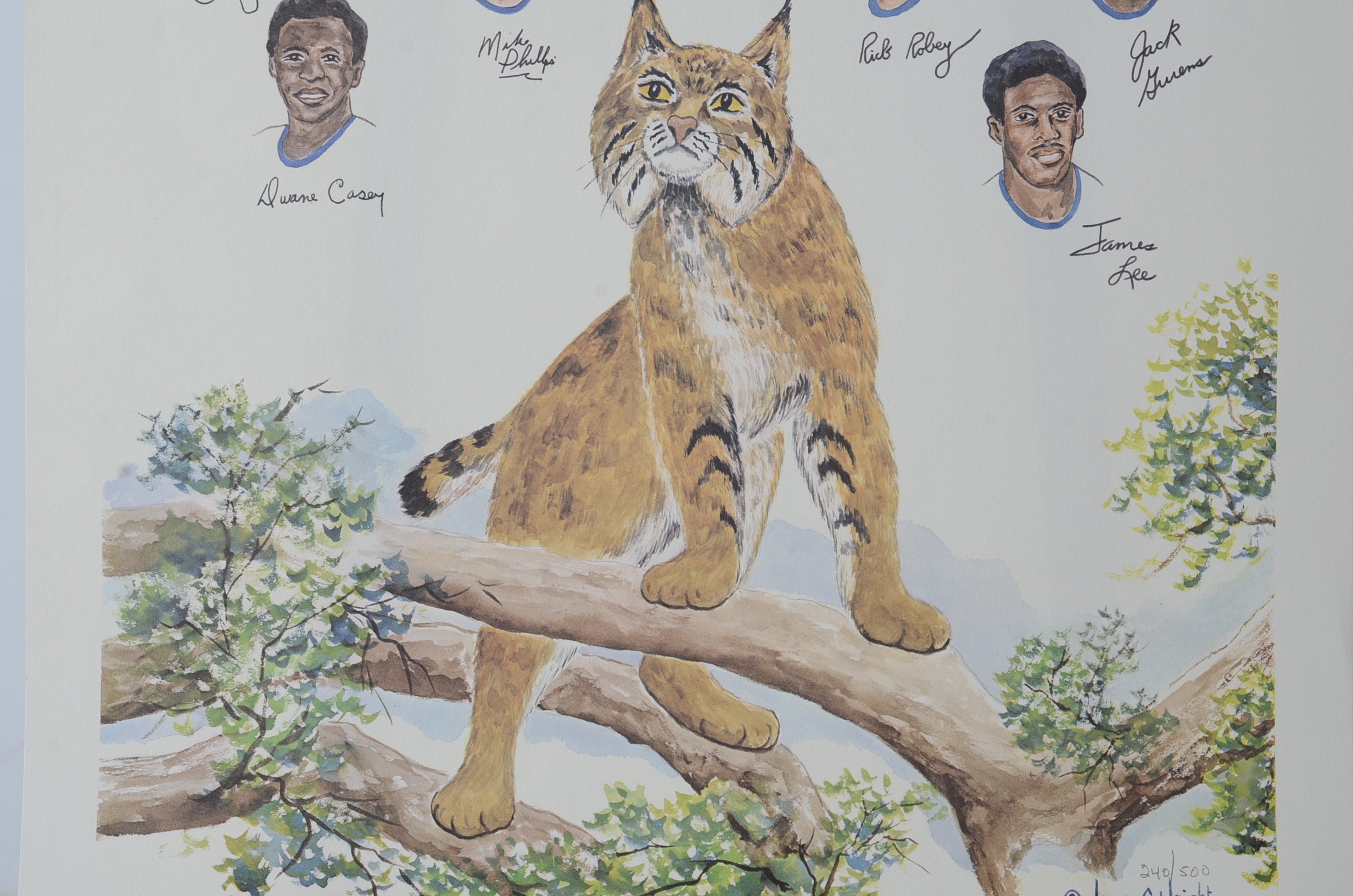 University of Kentucky NCAA Champs 1978 by James S. Wright