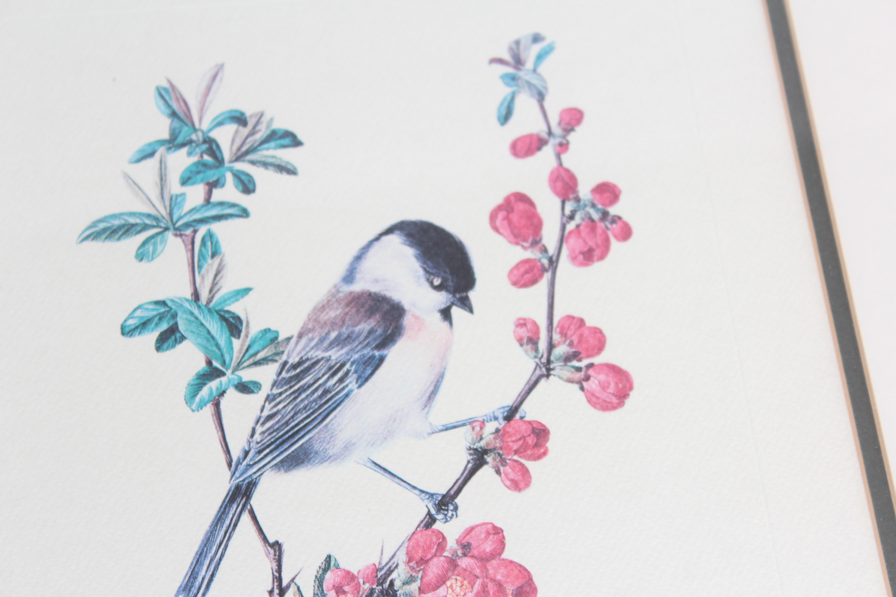 Pair of Framed A.M. Trechslin Lithographs