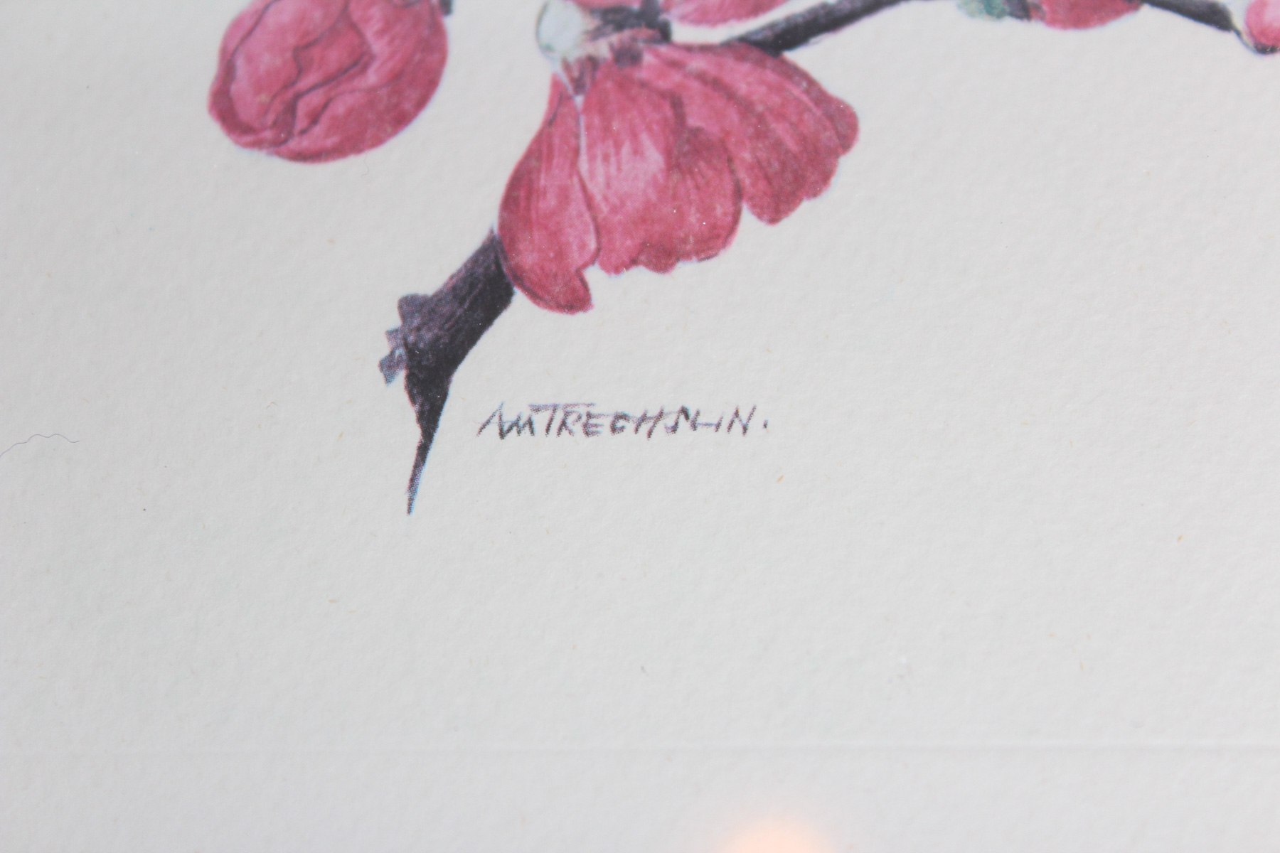 Pair of Framed A.M. Trechslin Lithographs