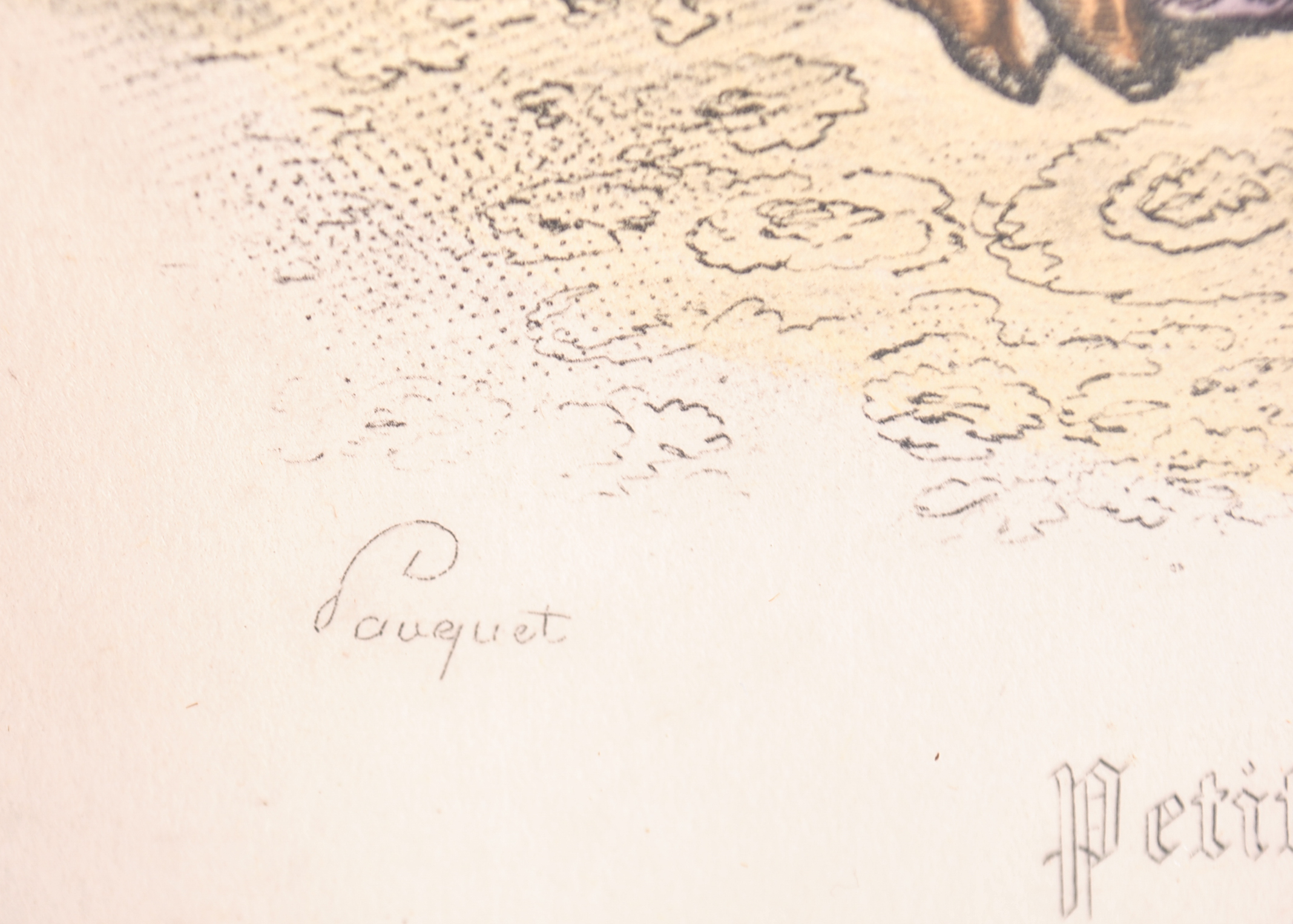 Vintage Framed Lithograph Prints