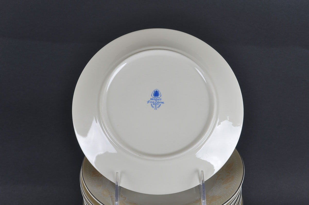 Budlet Fine China Ivory 86 Piece Set