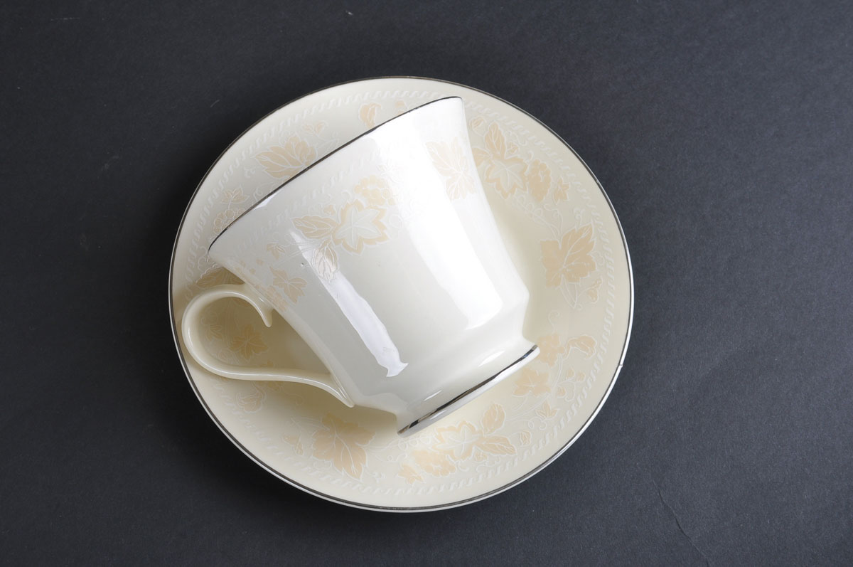 Budlet Fine China Ivory 86 Piece Set