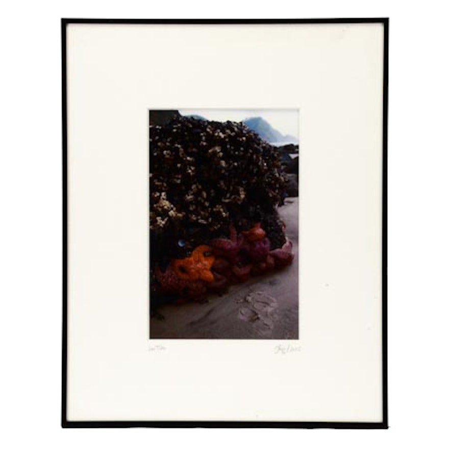 Framed "Low Tide" Photo by Colin Stapp