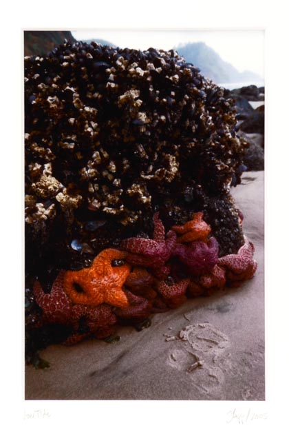 Framed "Low Tide" Photo by Colin Stapp
