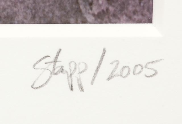 Framed "Low Tide" Photo by Colin Stapp