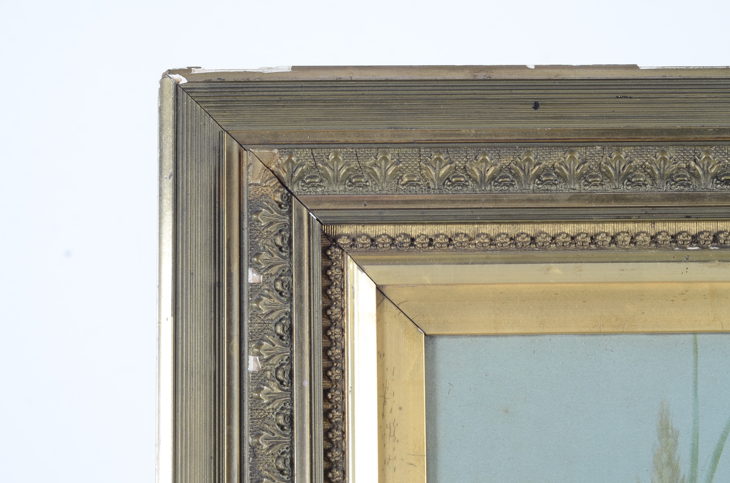 Antique Lithograph of Water Lilies by Emilie Vouga