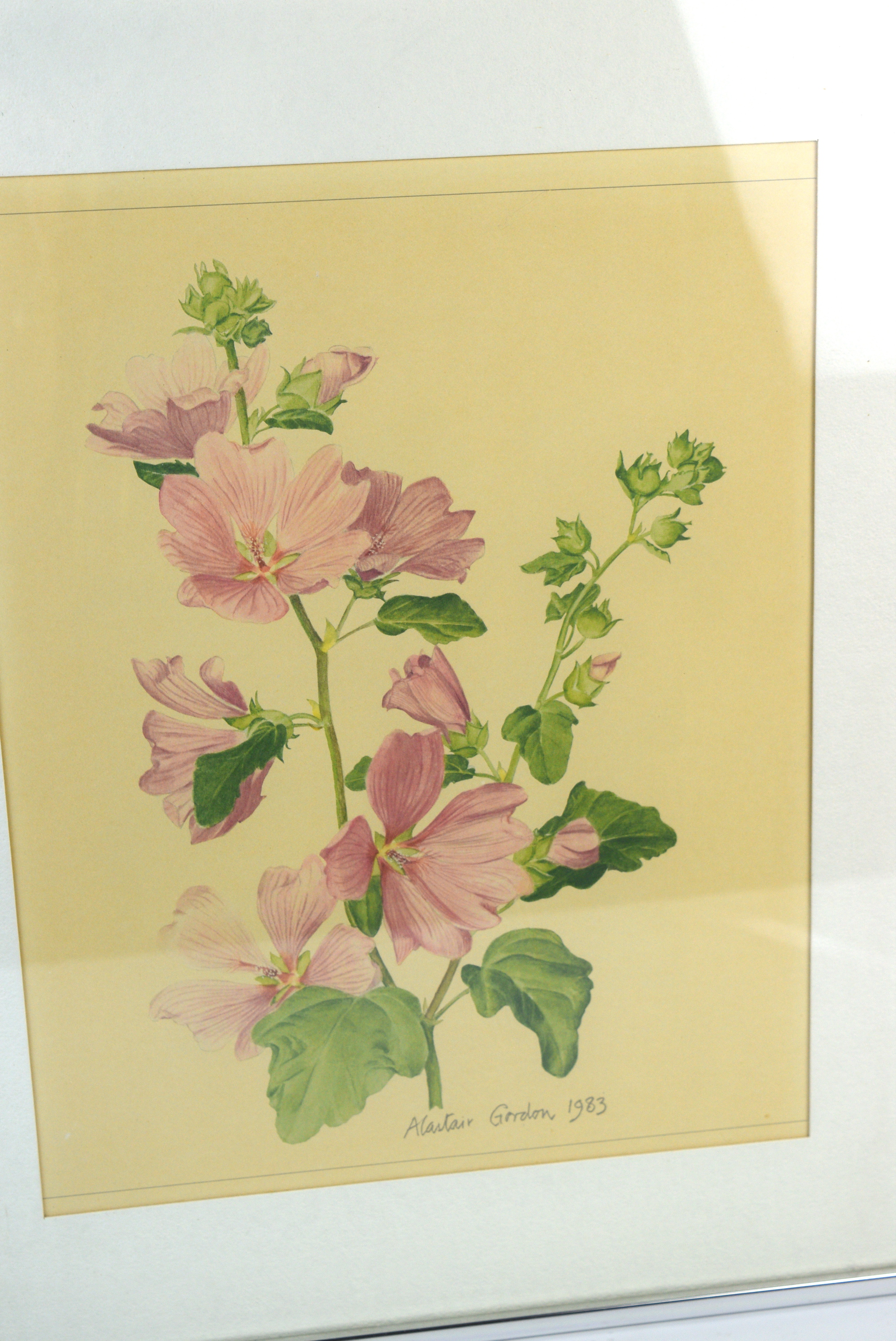 Vintage Alastair Gordon Flower Offset Lithograph
