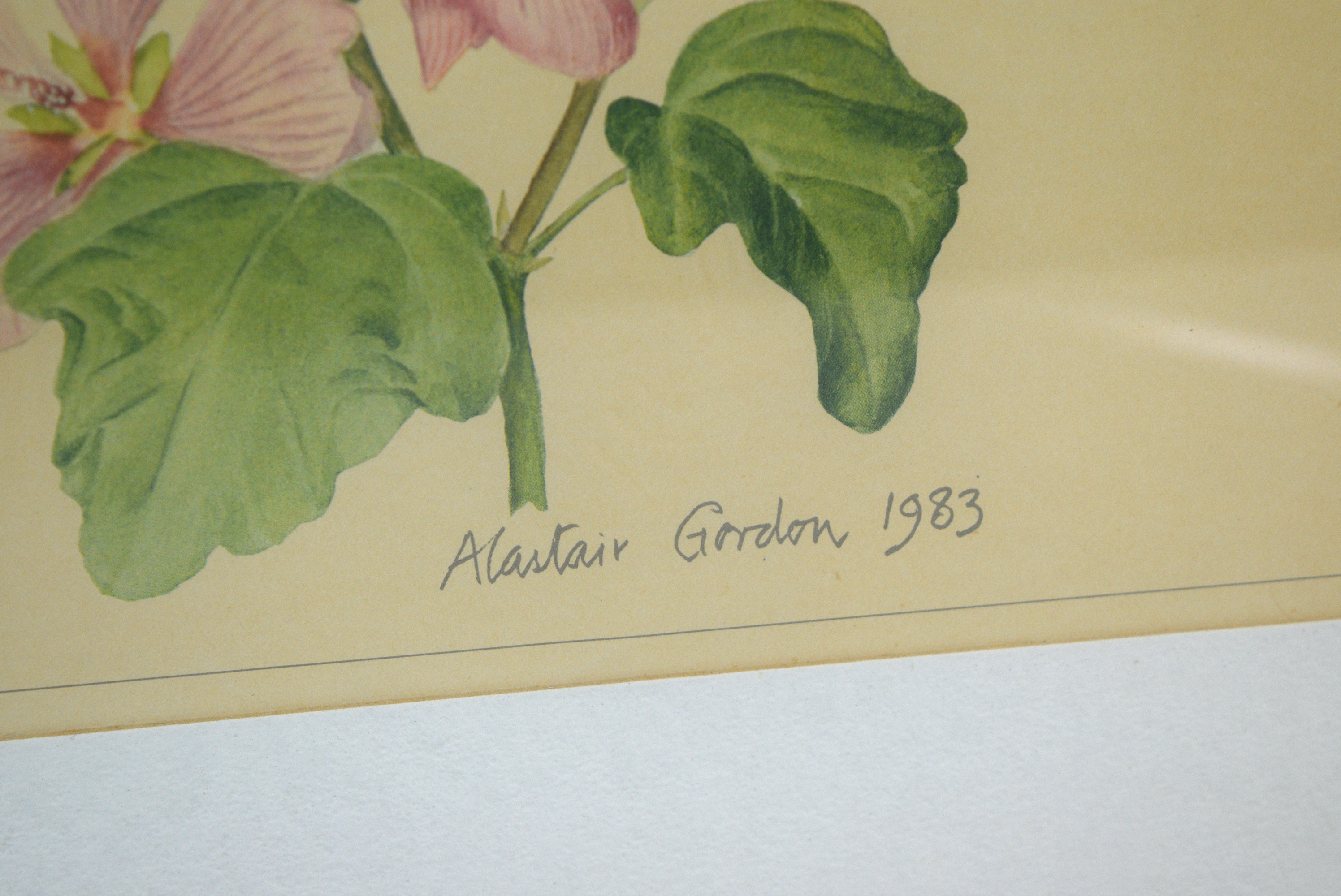 Vintage Alastair Gordon Flower Offset Lithograph