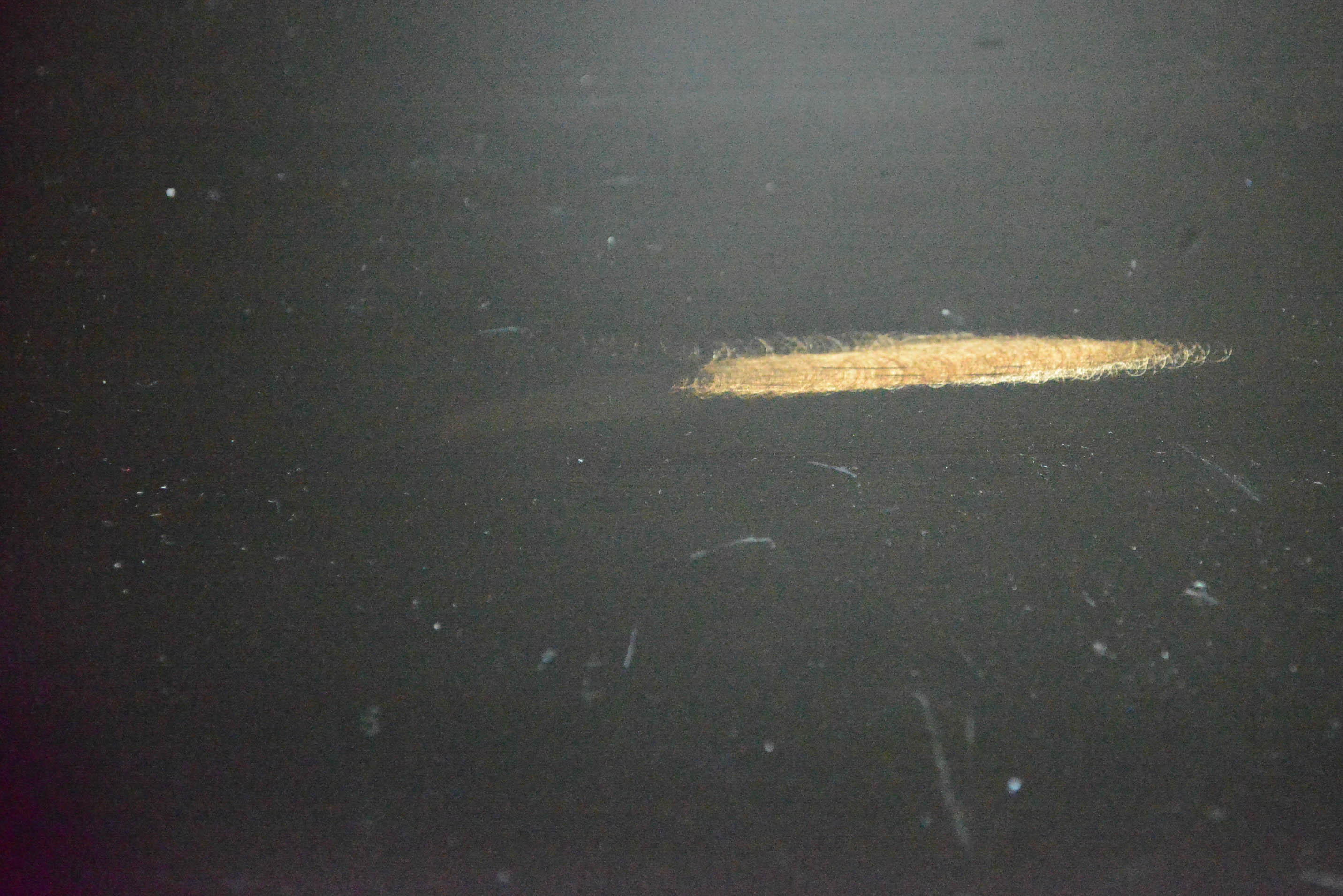 Progressive Furniture "Torreon Collection" Night Stands