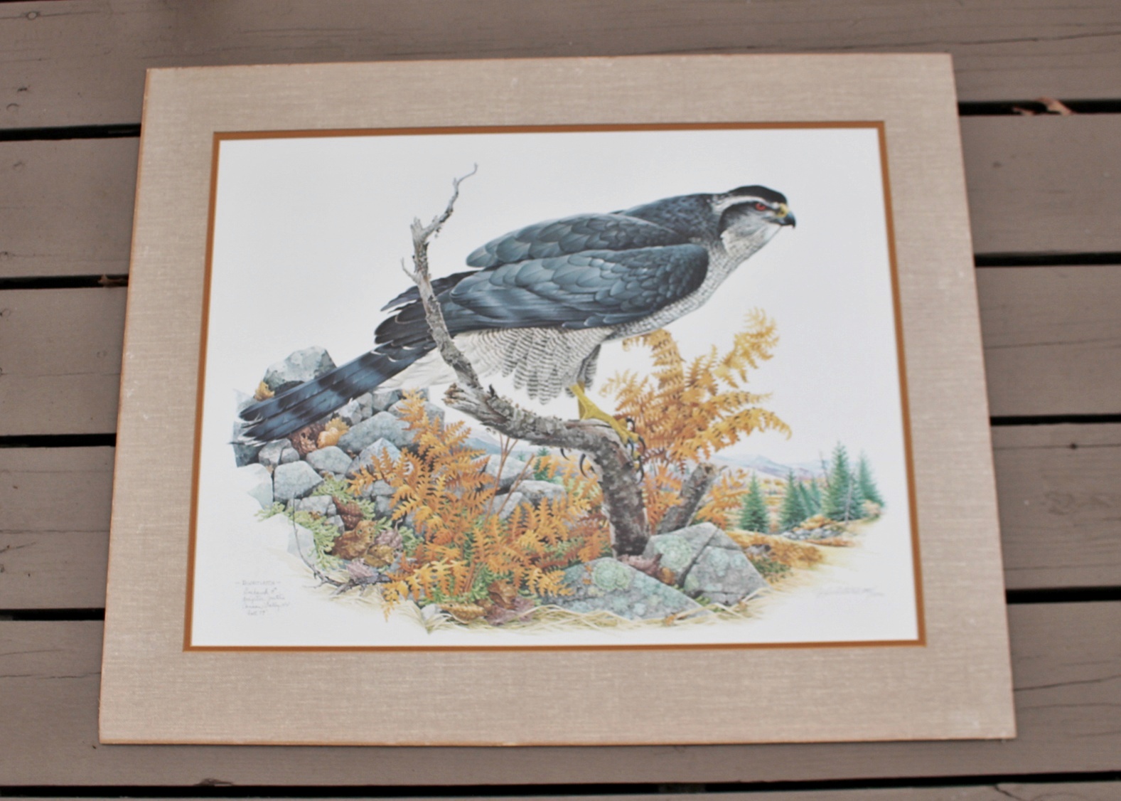 "Goshawk" by D. Whitlach Signed/Numbered Litho