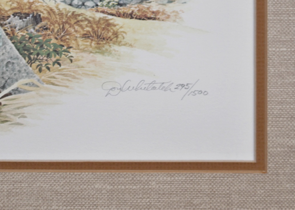 "Goshawk" by D. Whitlach Signed/Numbered Litho