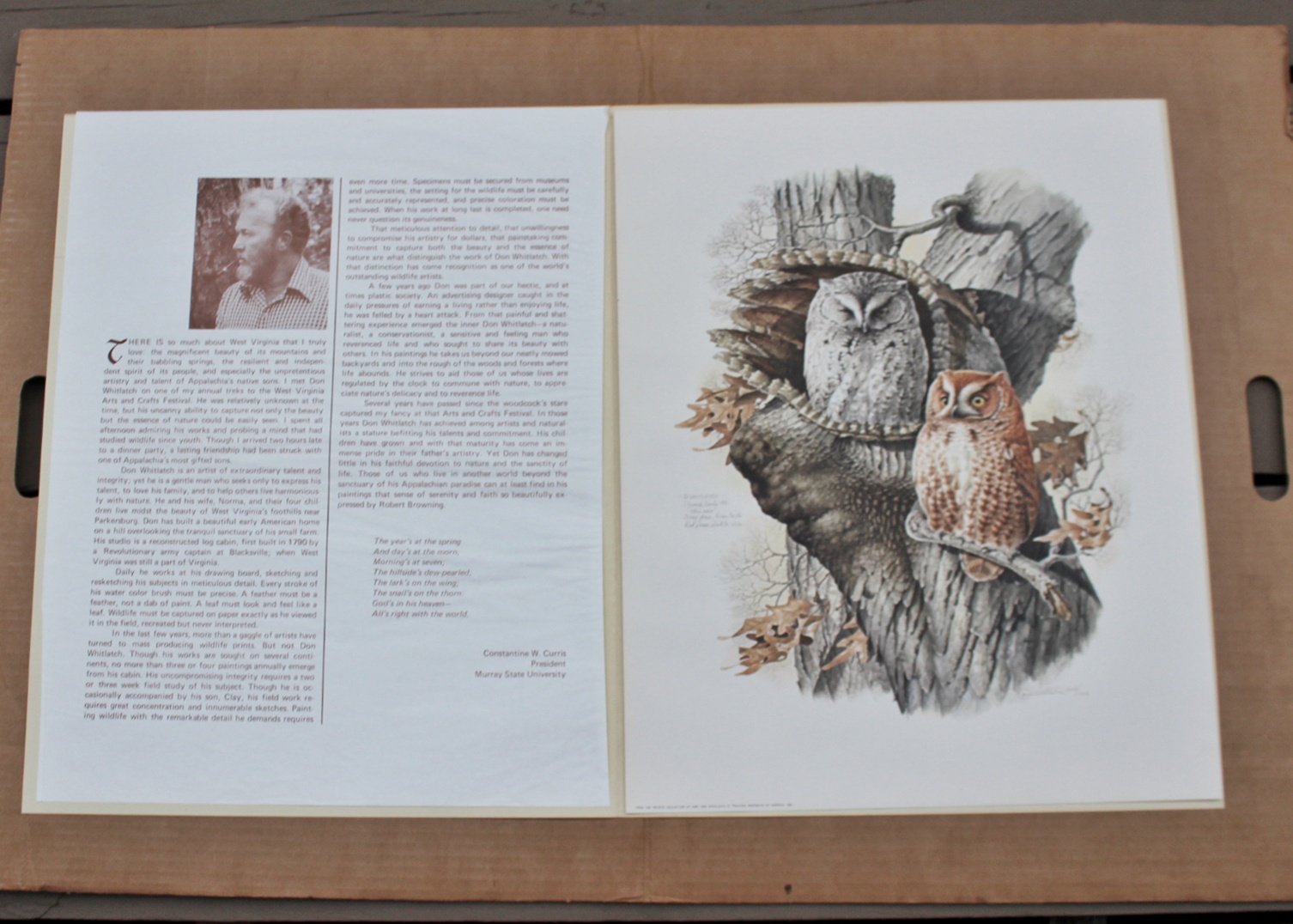 Unframed Litho "Screech Owls" by D. Whitlach