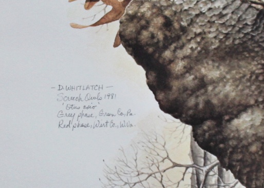Unframed Litho "Screech Owls" by D. Whitlach