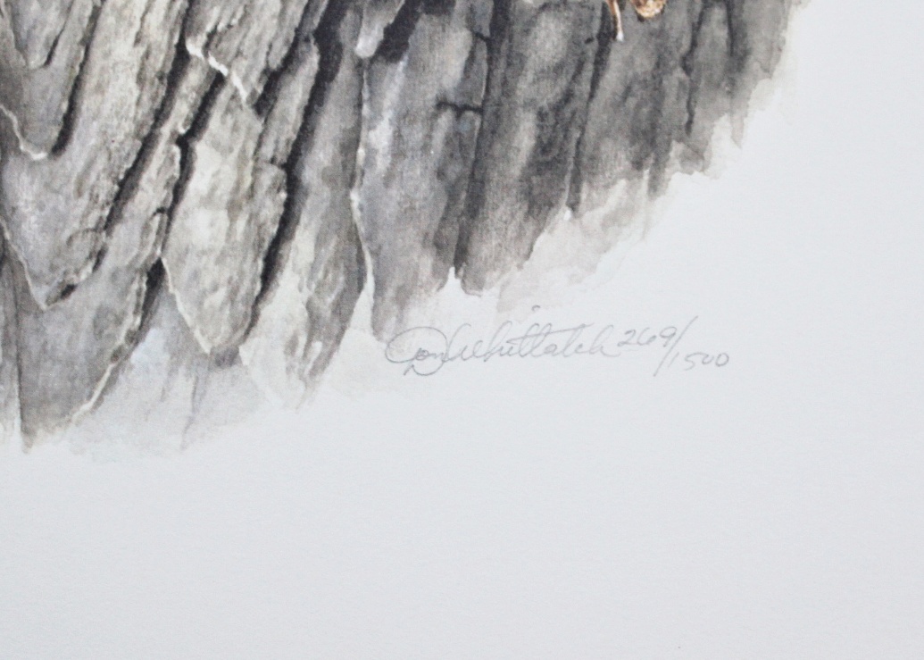 Unframed Litho "Screech Owls" by D. Whitlach