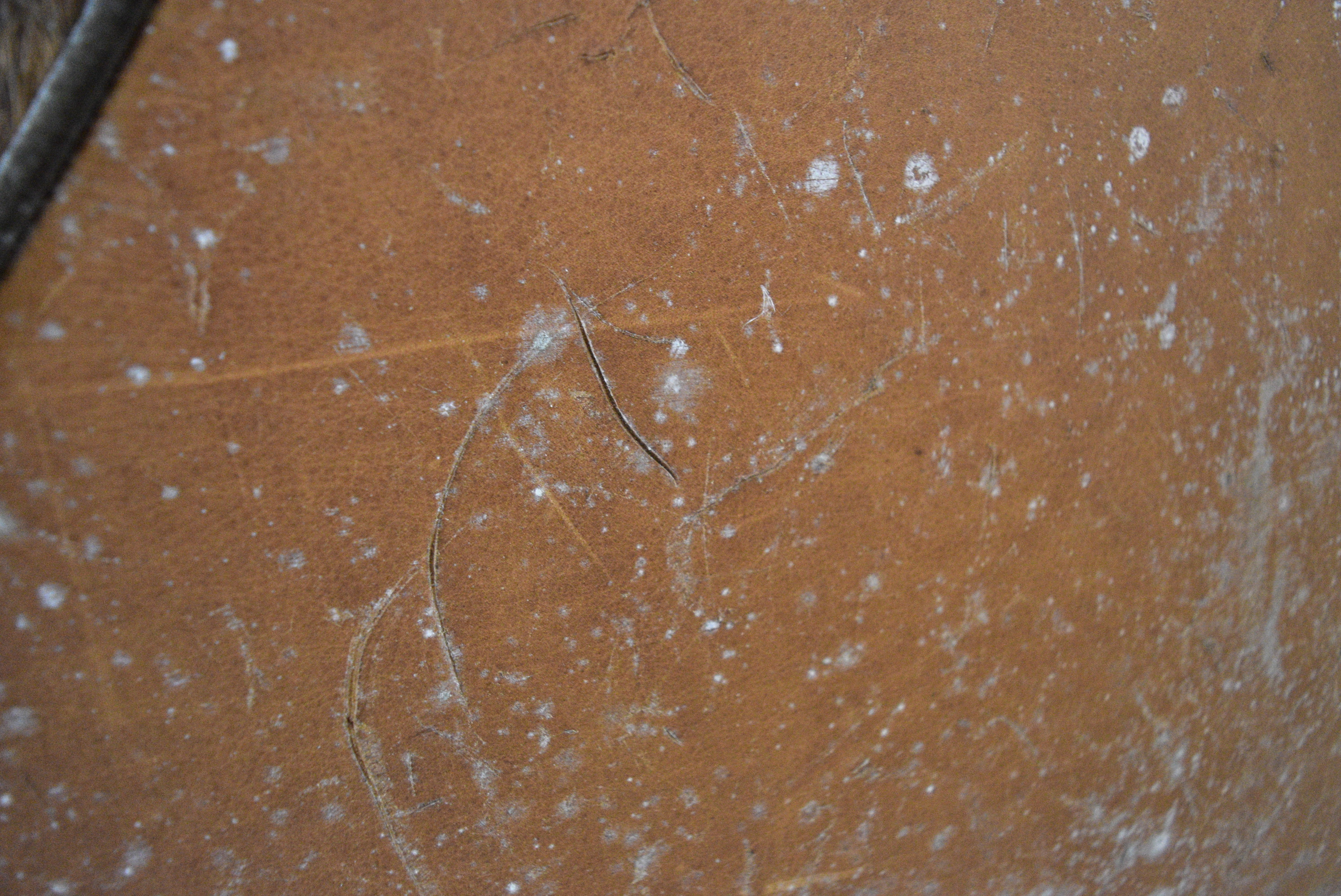 Old Hickory Tannery Leather Cowhide Sofa