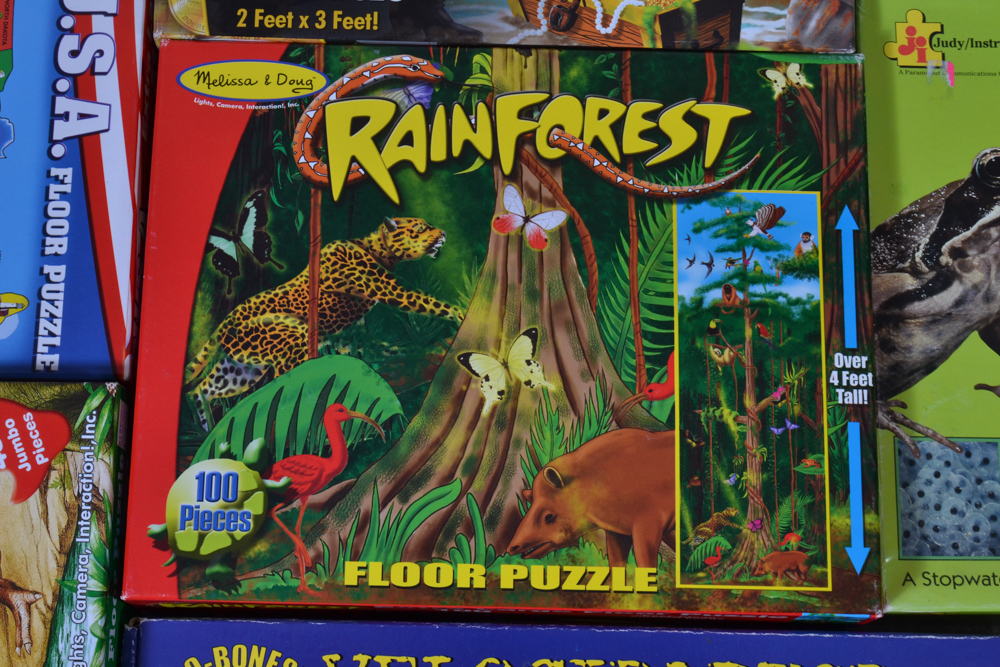 Twelve Children's Extra Large Floor Puzzles