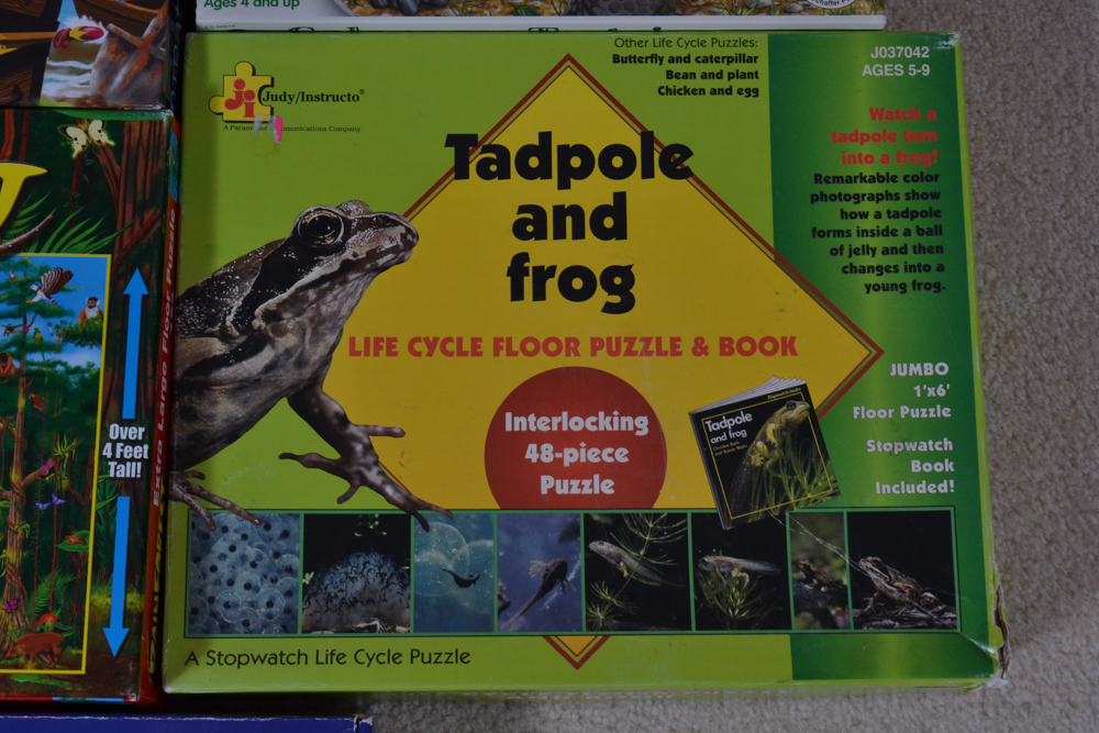 Twelve Children's Extra Large Floor Puzzles