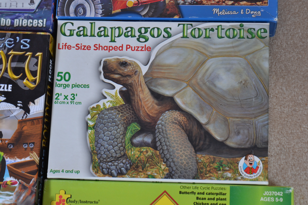 Twelve Children's Extra Large Floor Puzzles