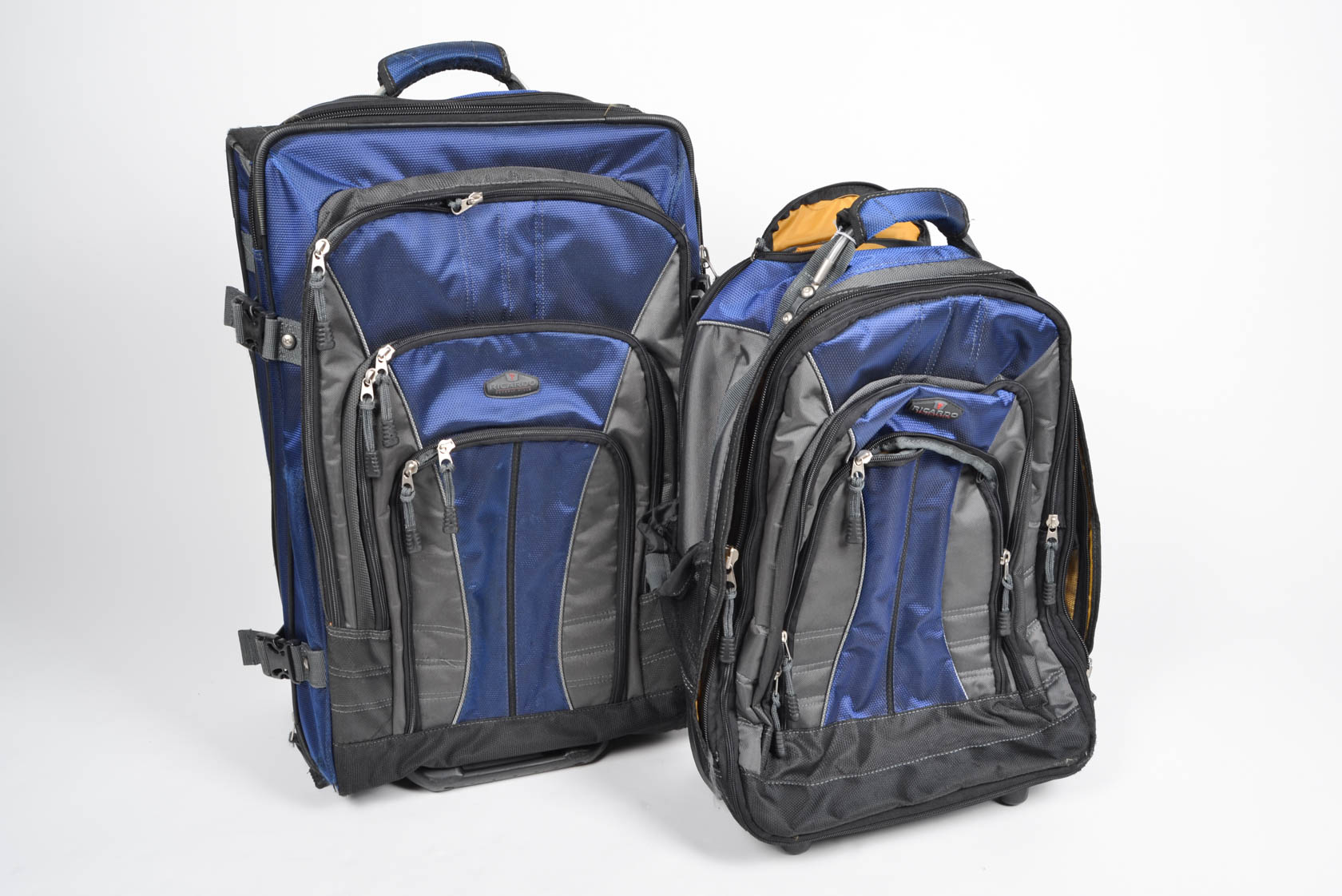 Pair of Ricardo Beverly Hills Luggage