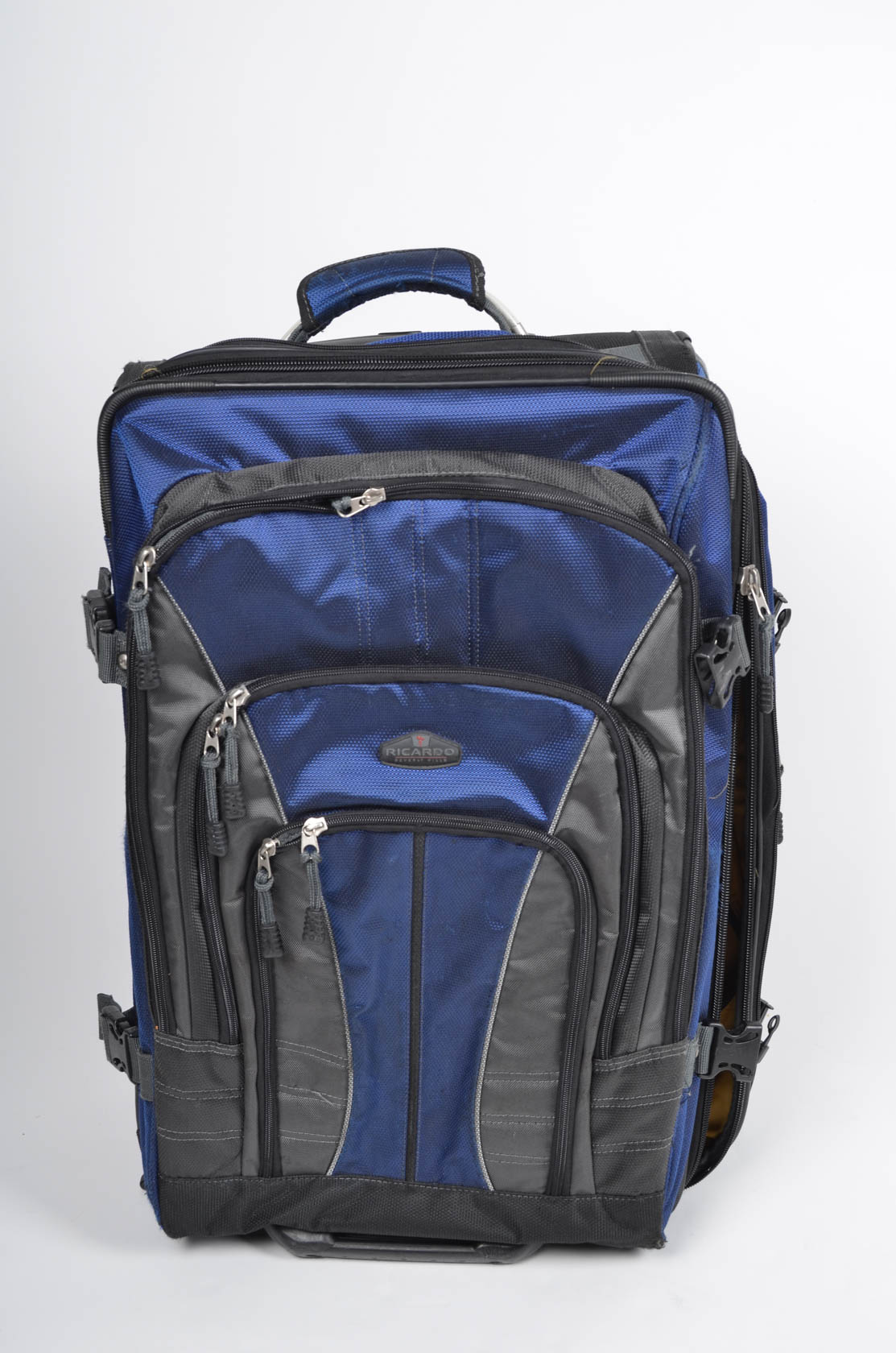 Pair of Ricardo Beverly Hills Luggage