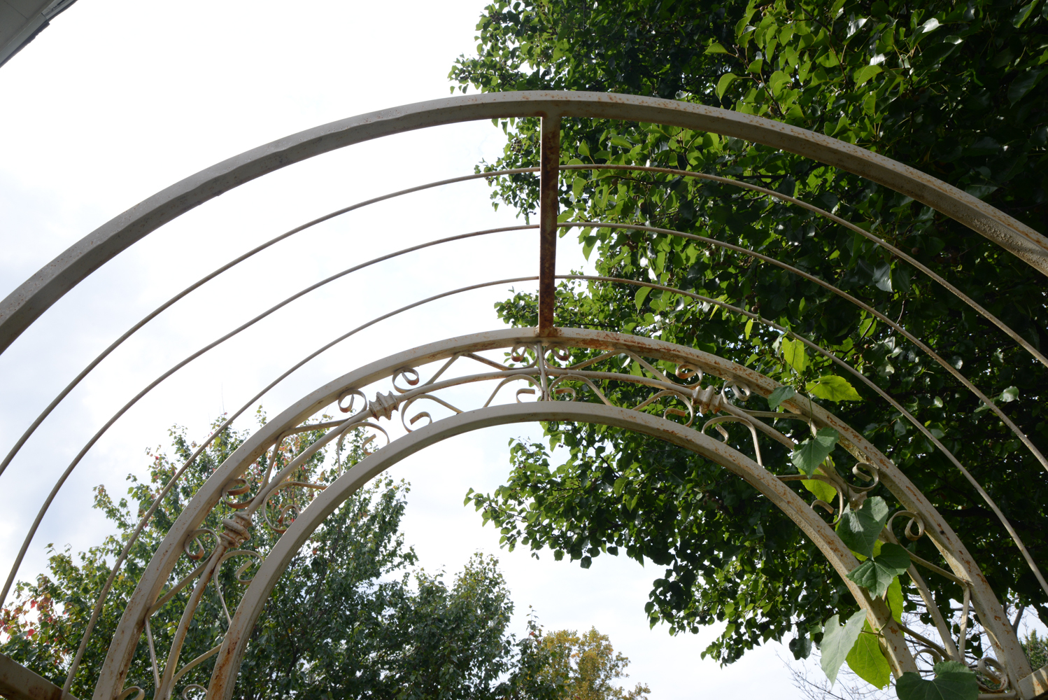 Rustic Outdoor Metal Arbor Gate