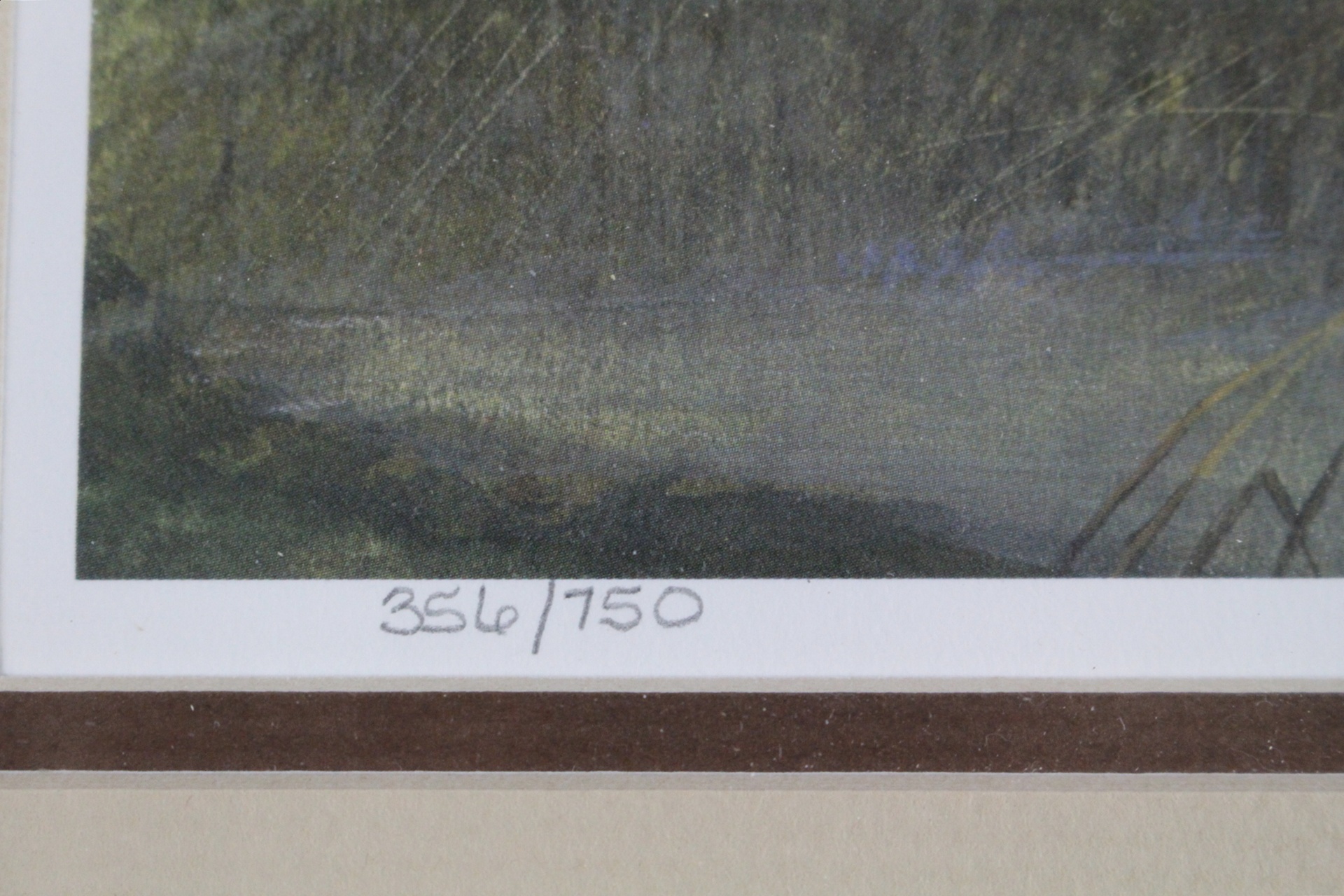 Tom Sander Litho Red Fox Signed/Numbered